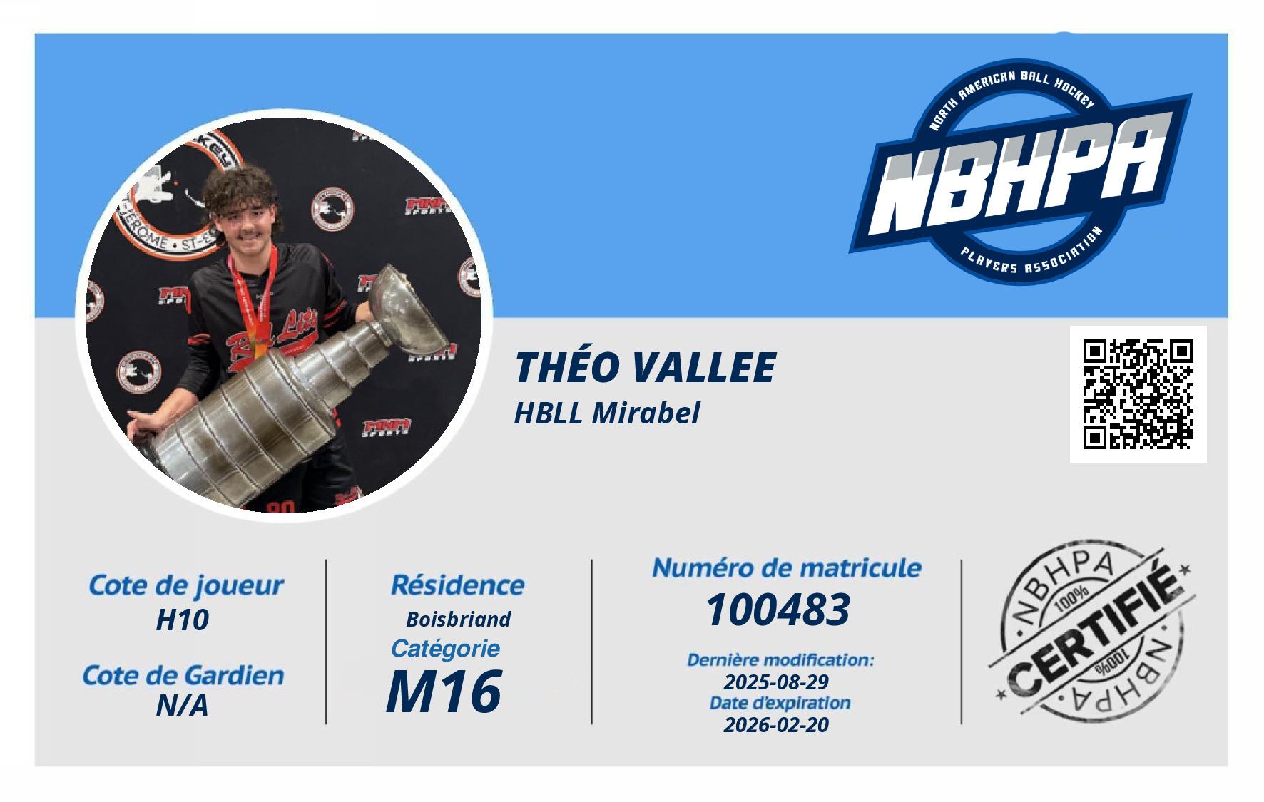 Théo Vallee