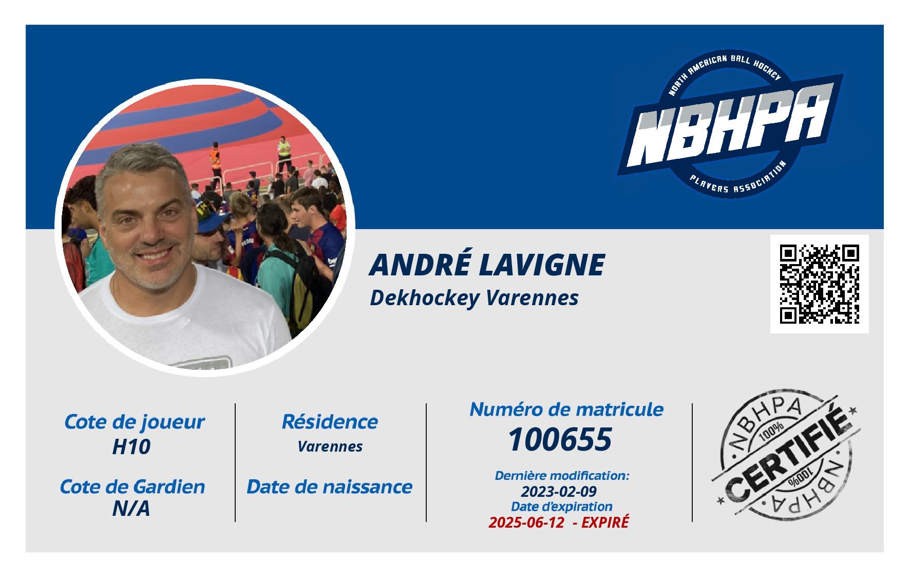 André Lavigne
