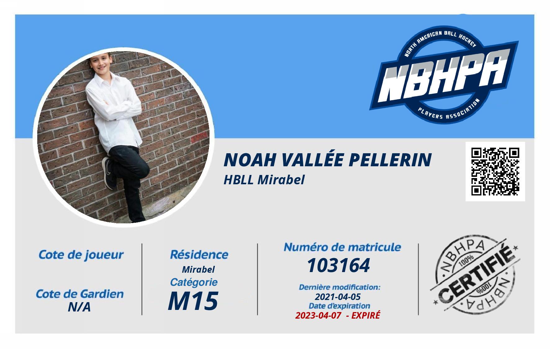 Noah Vallée Pellerin