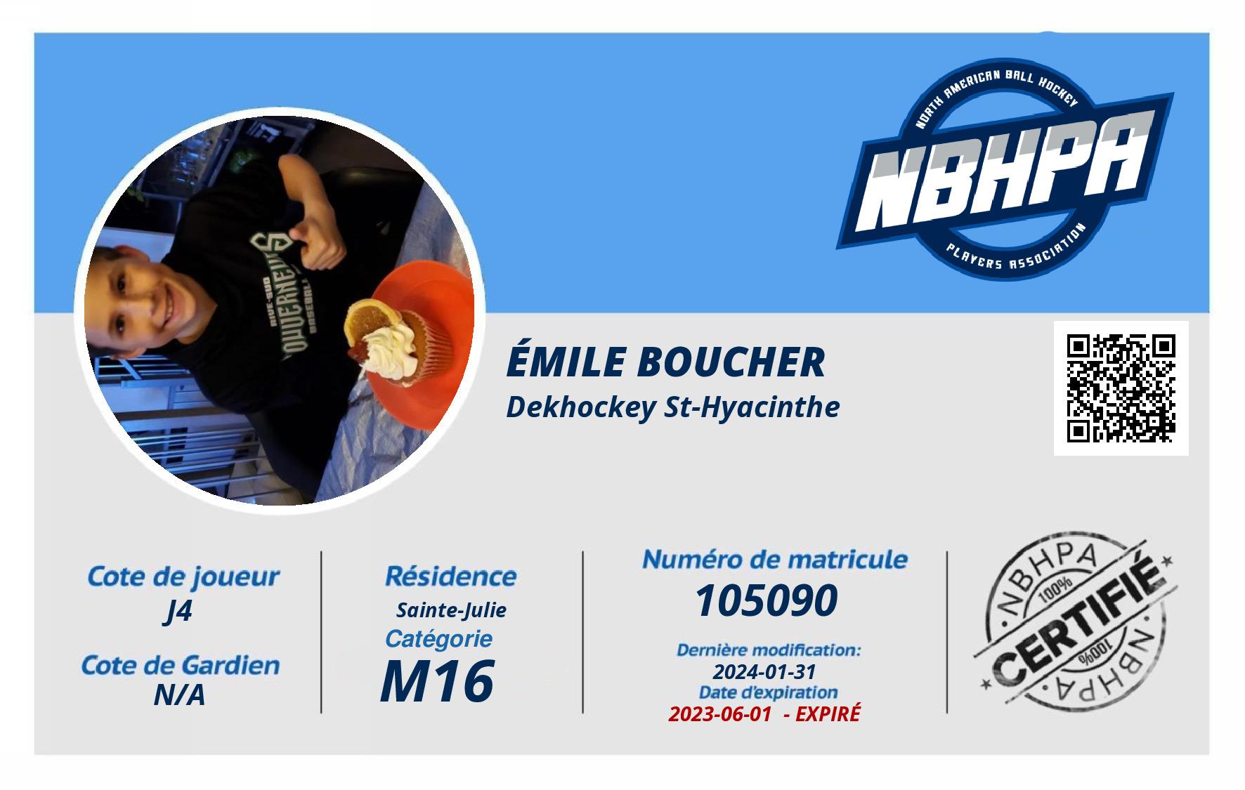 Émile Boucher