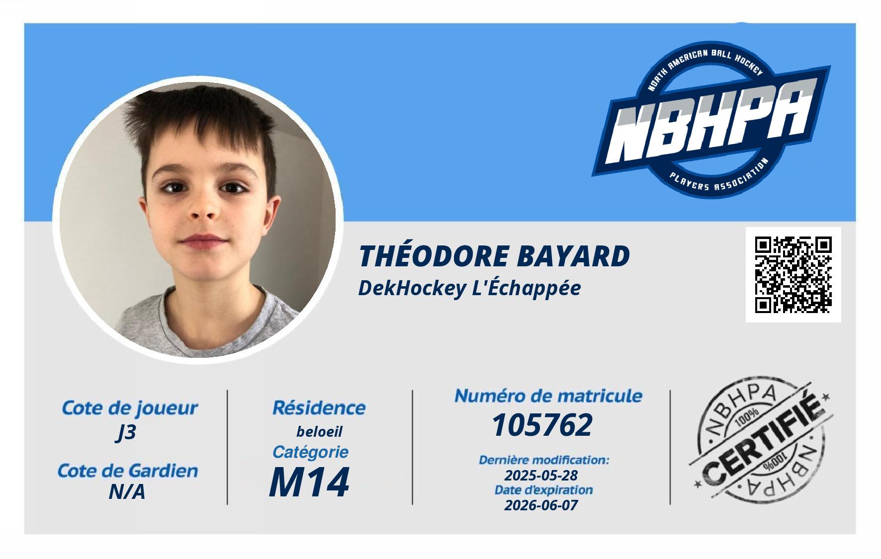 Théodore Bayard