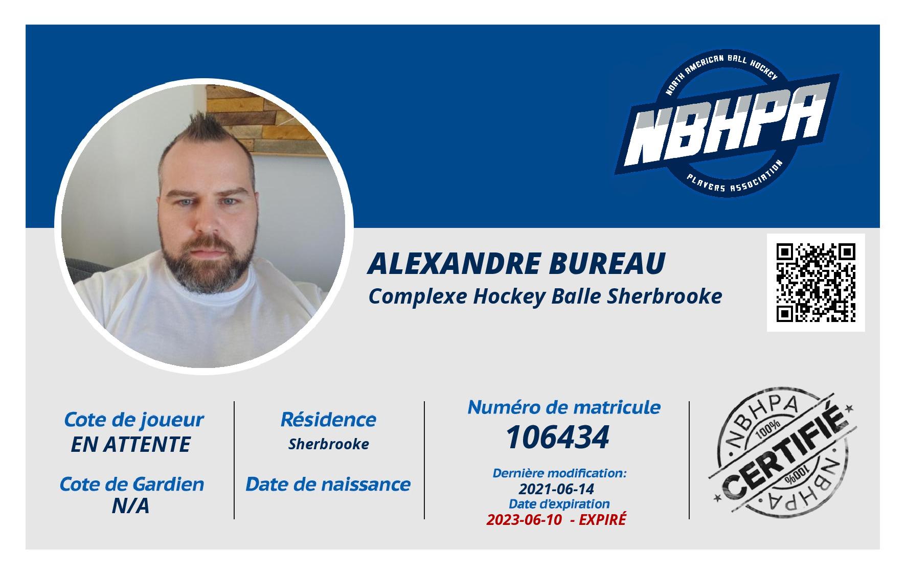 Alexandre Bureau
