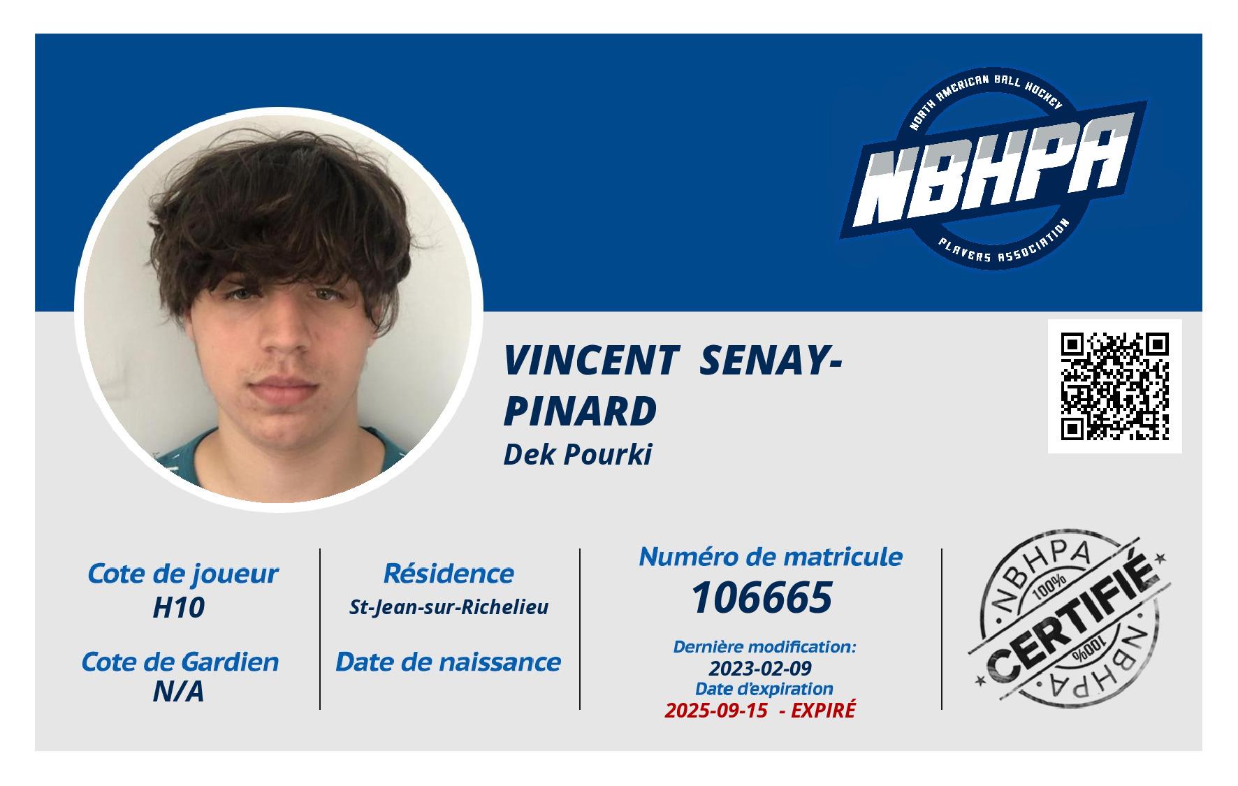 Vincent  Senay-Pinard