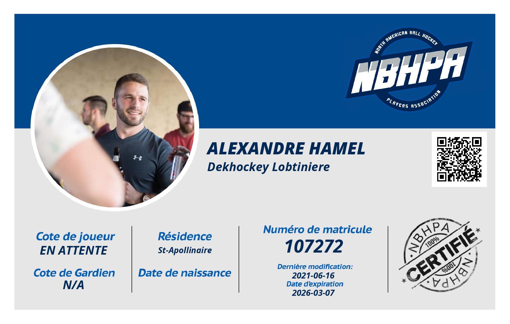 Alexandre Hamel