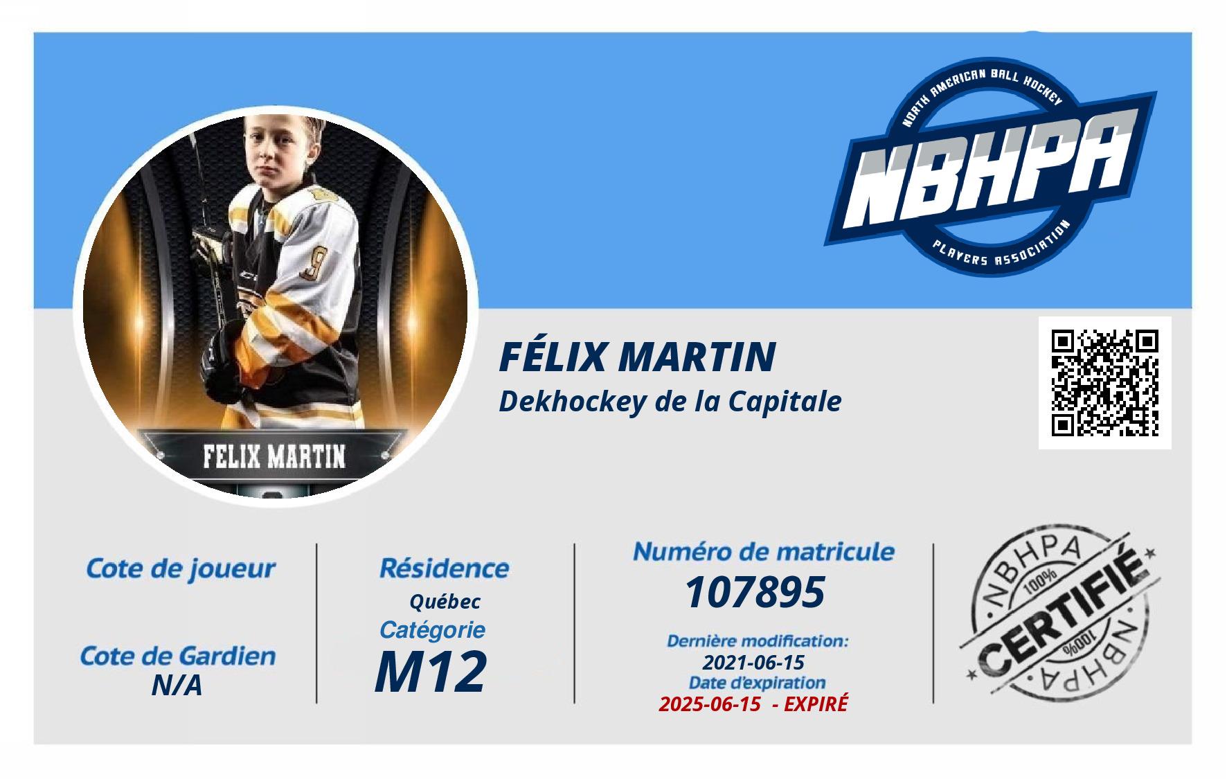 Félix Martin