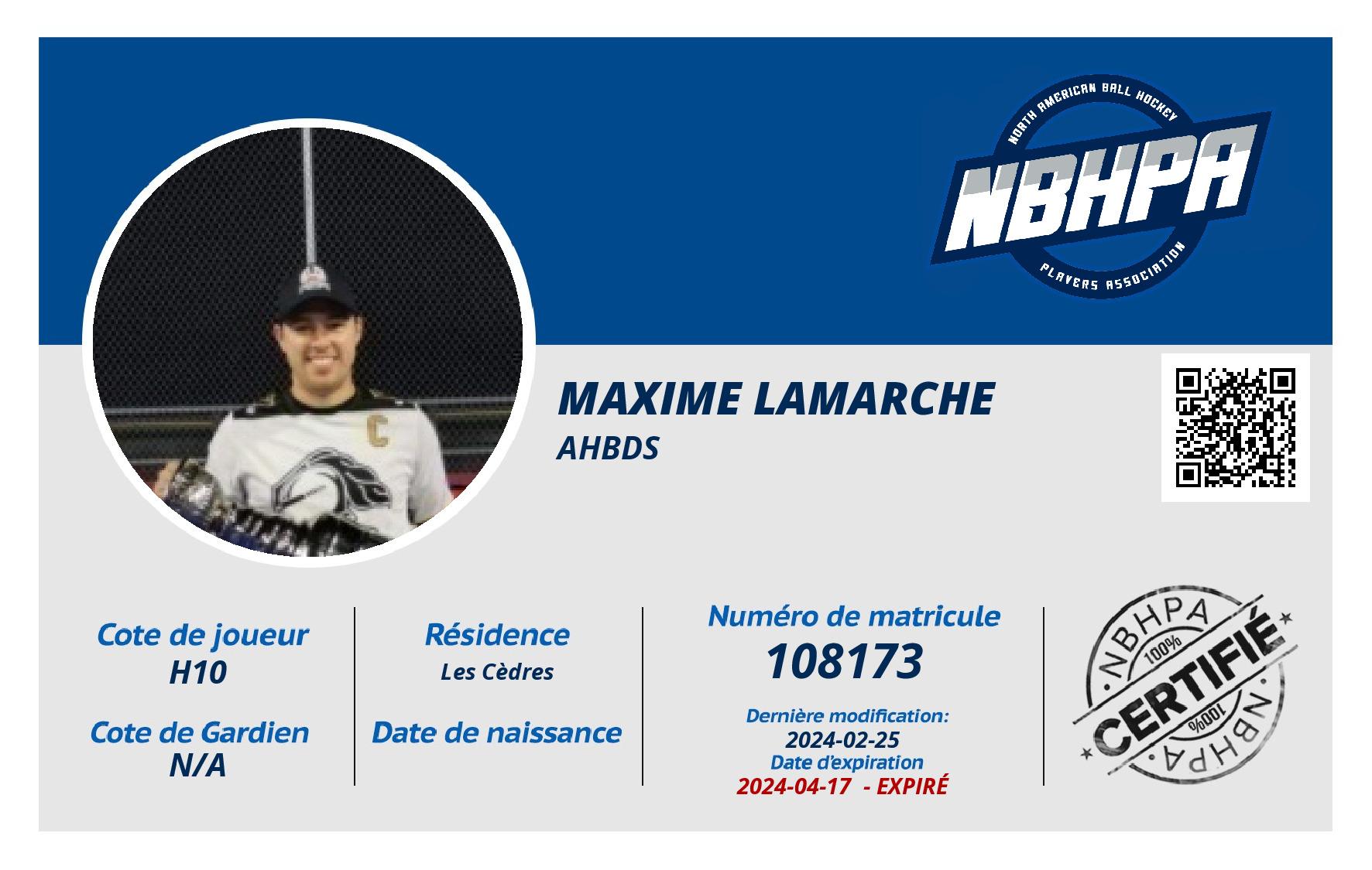Maxime Lamarche
