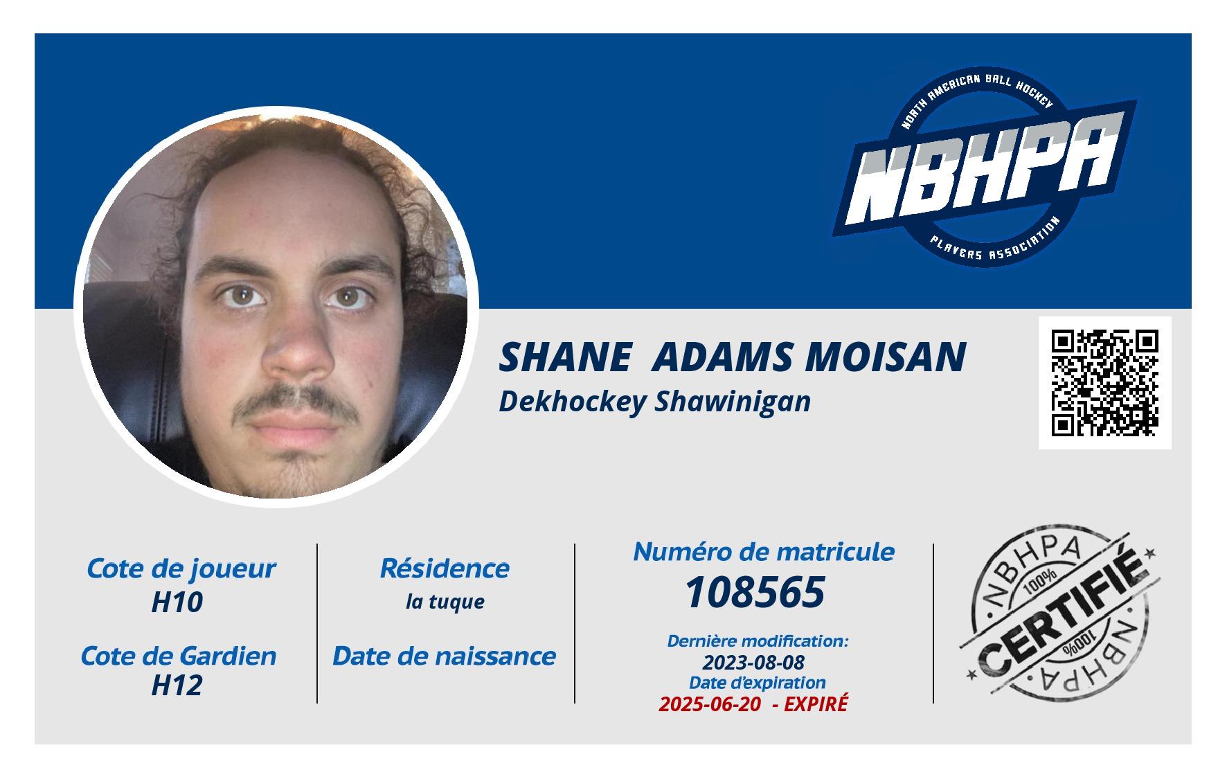 Shane  Adams Moisan