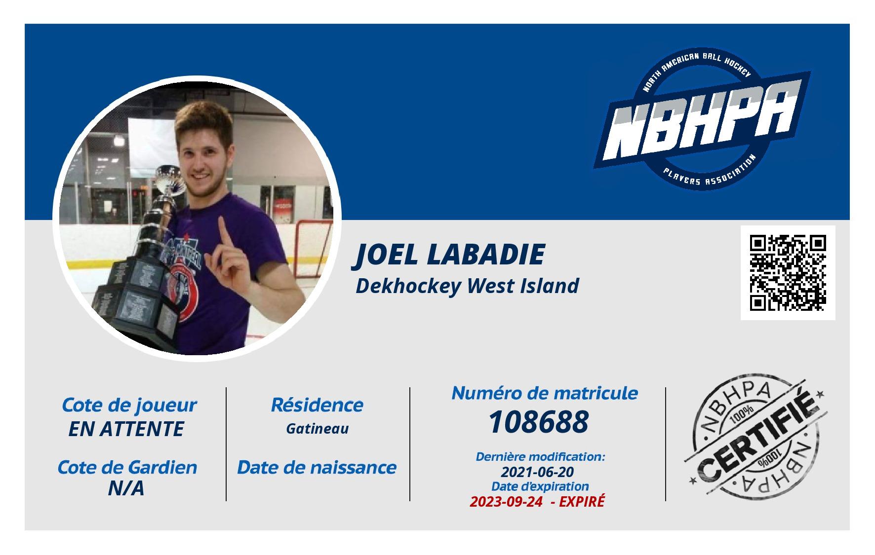 Joel Labadie