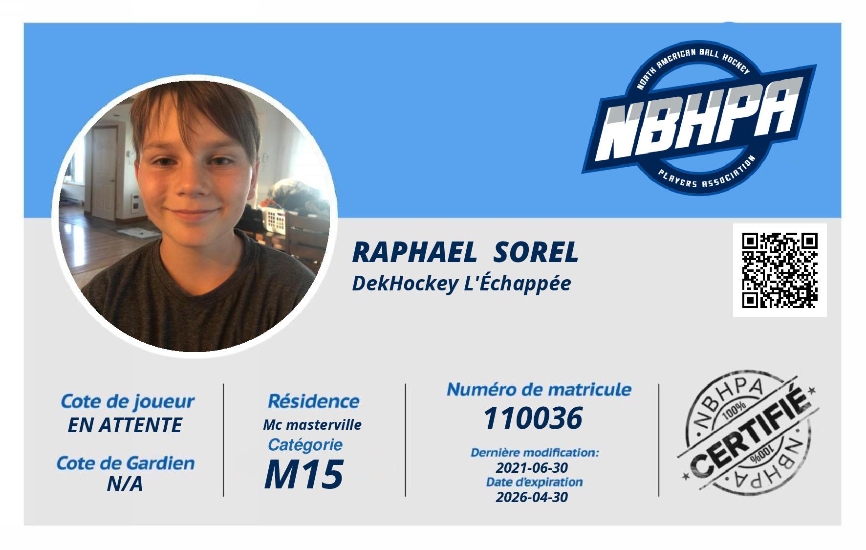 Raphael  Sorel