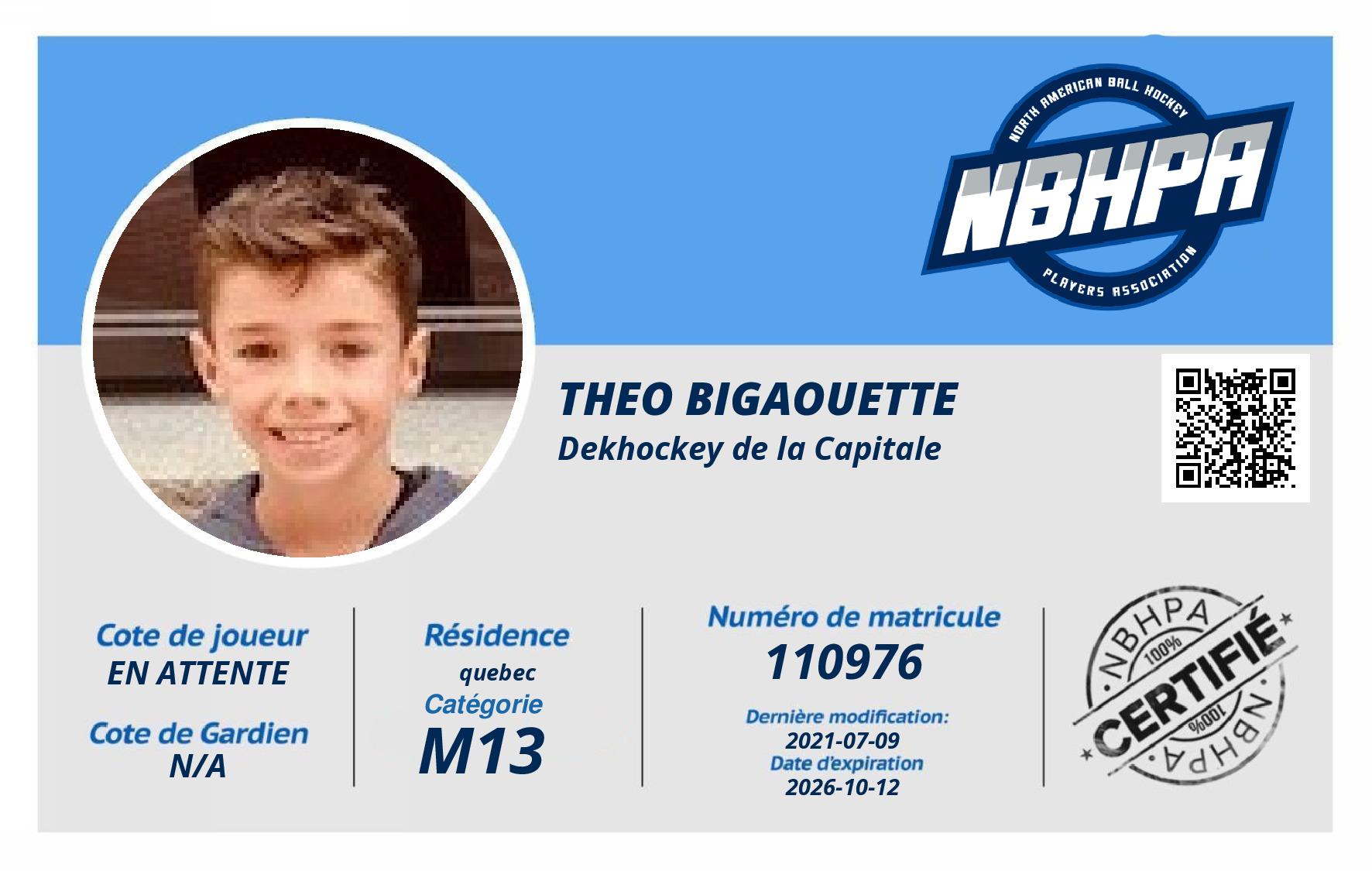 Theo Bigaouette