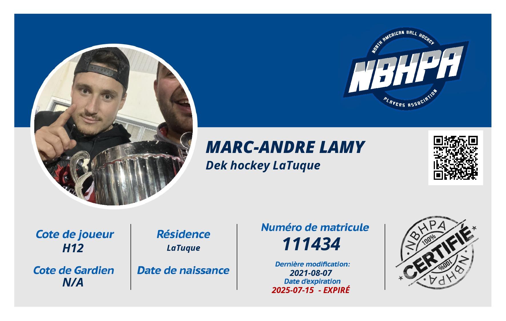 Marc-andre Lamy