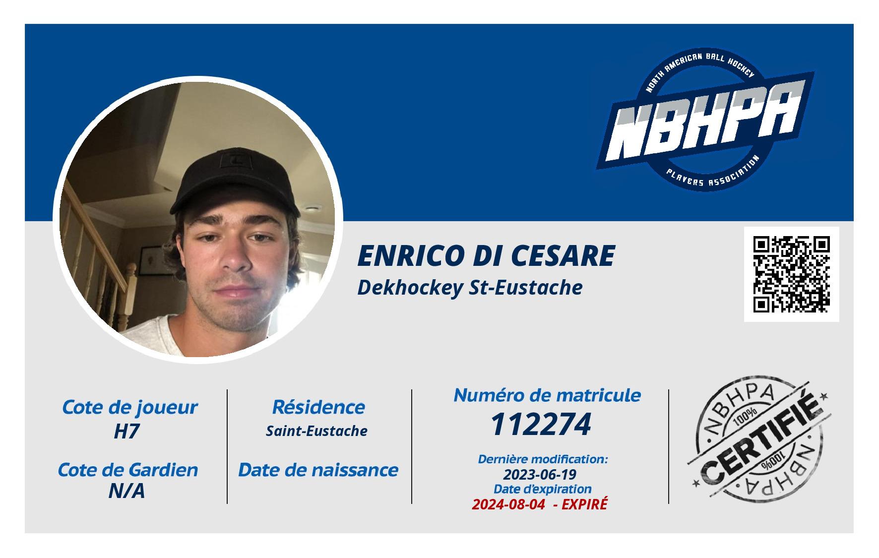 Enrico Di cesare 