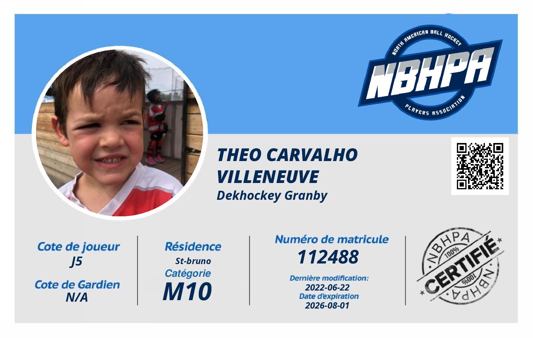 Theo Carvalho Villeneuve 