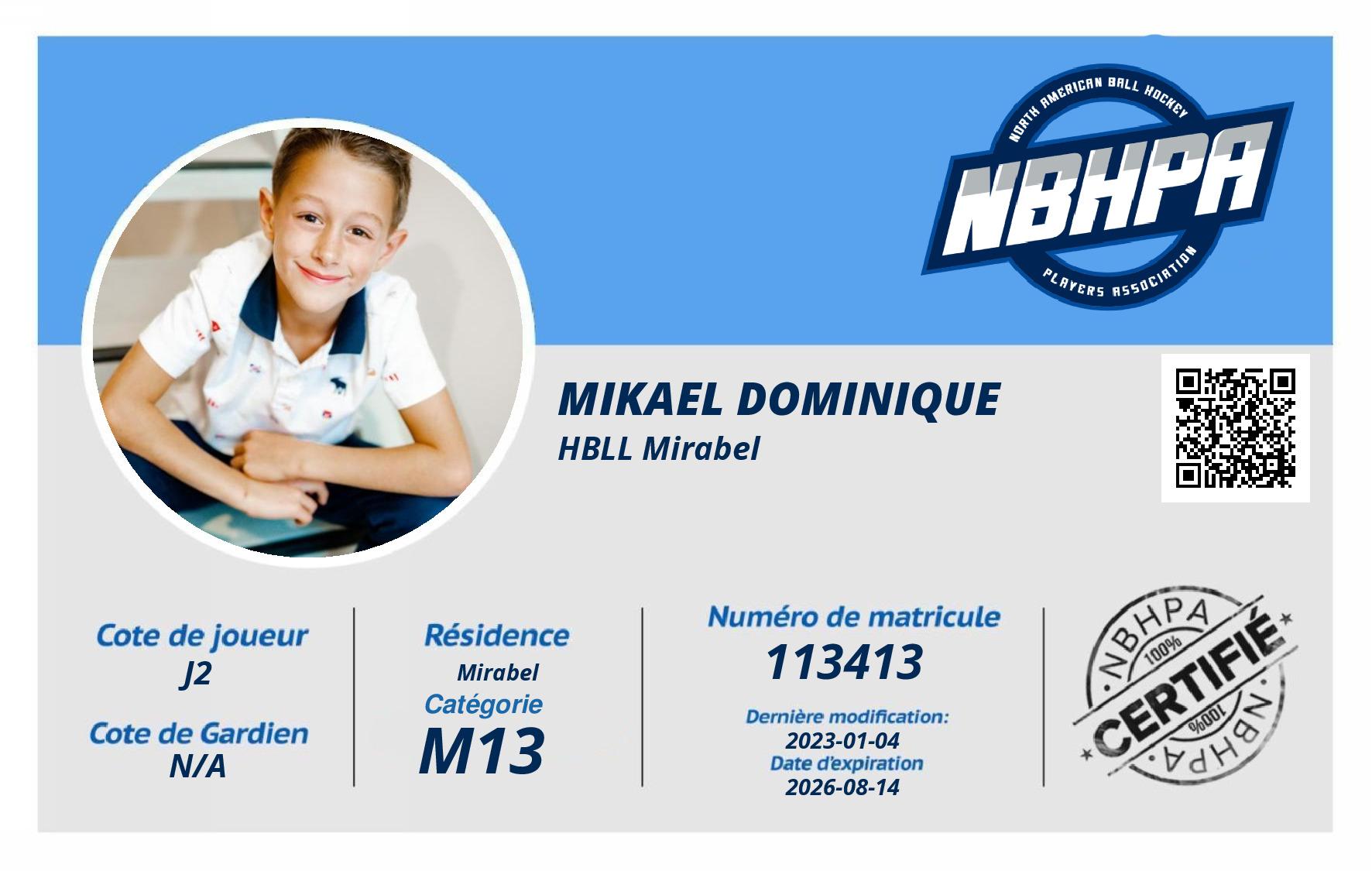 Mikael Dominique