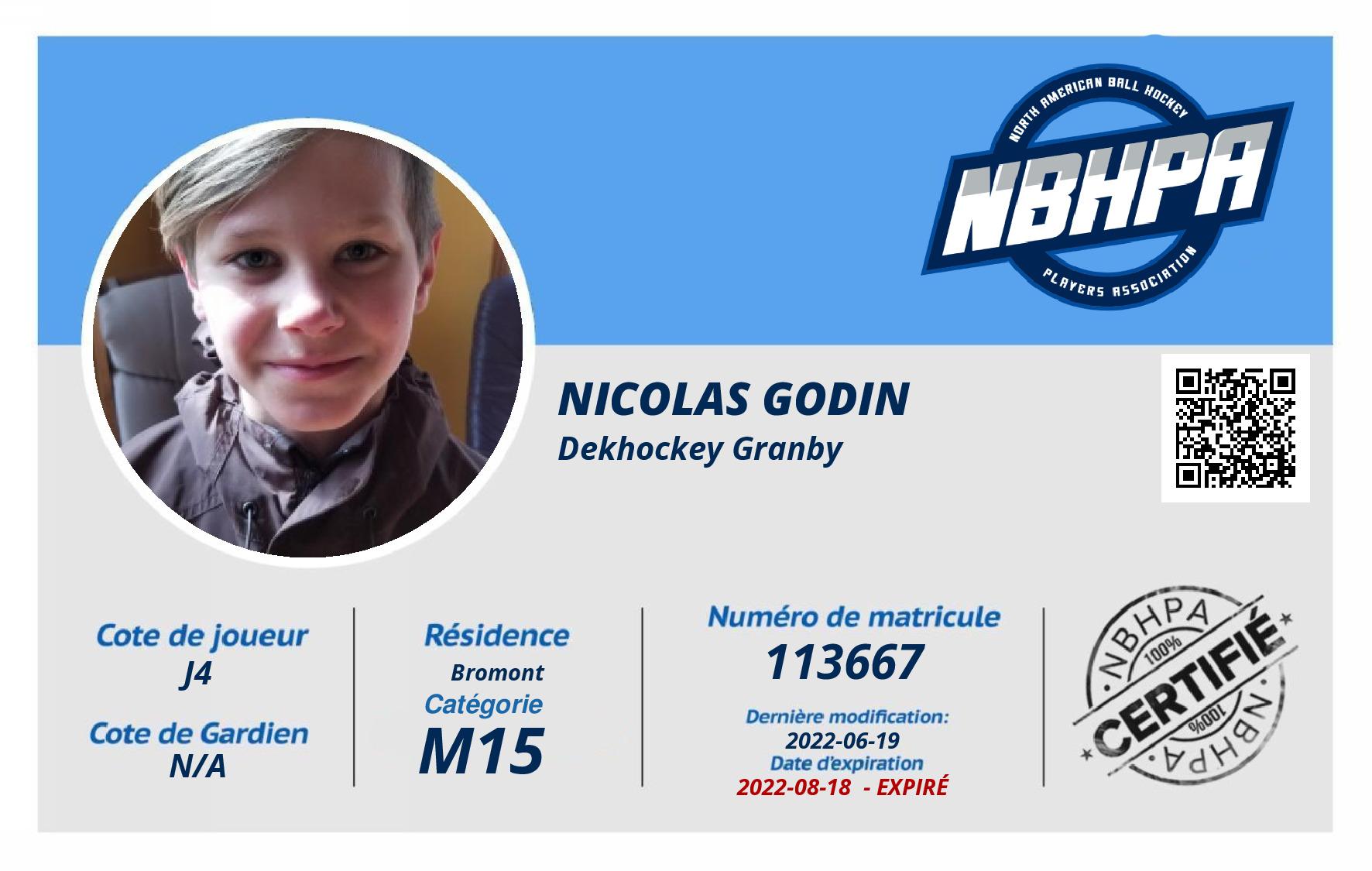 Nicolas Godin