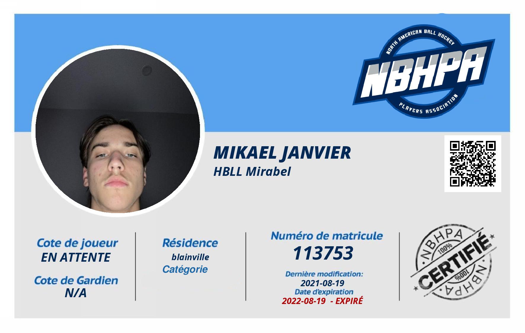 Mikael Janvier