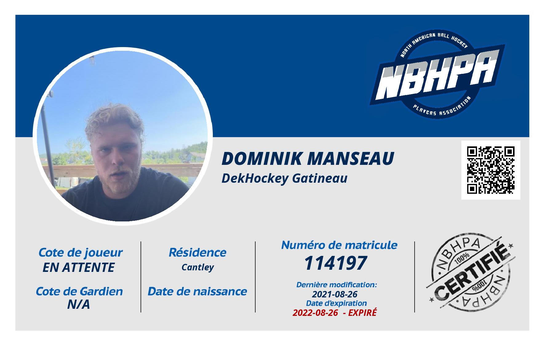 Dominik Manseau