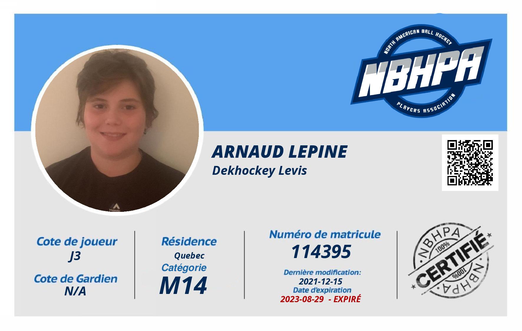 Arnaud Lepine