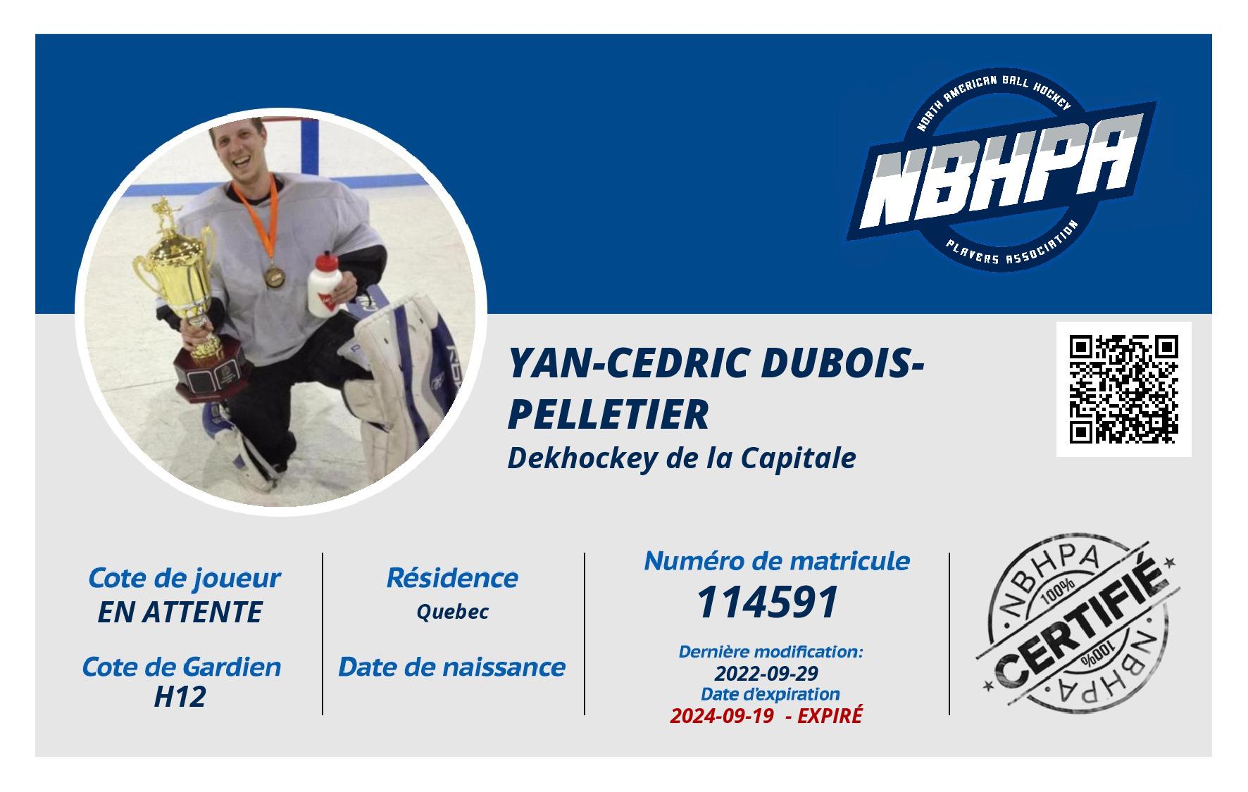 Yan-cedric Dubois-Pelletier