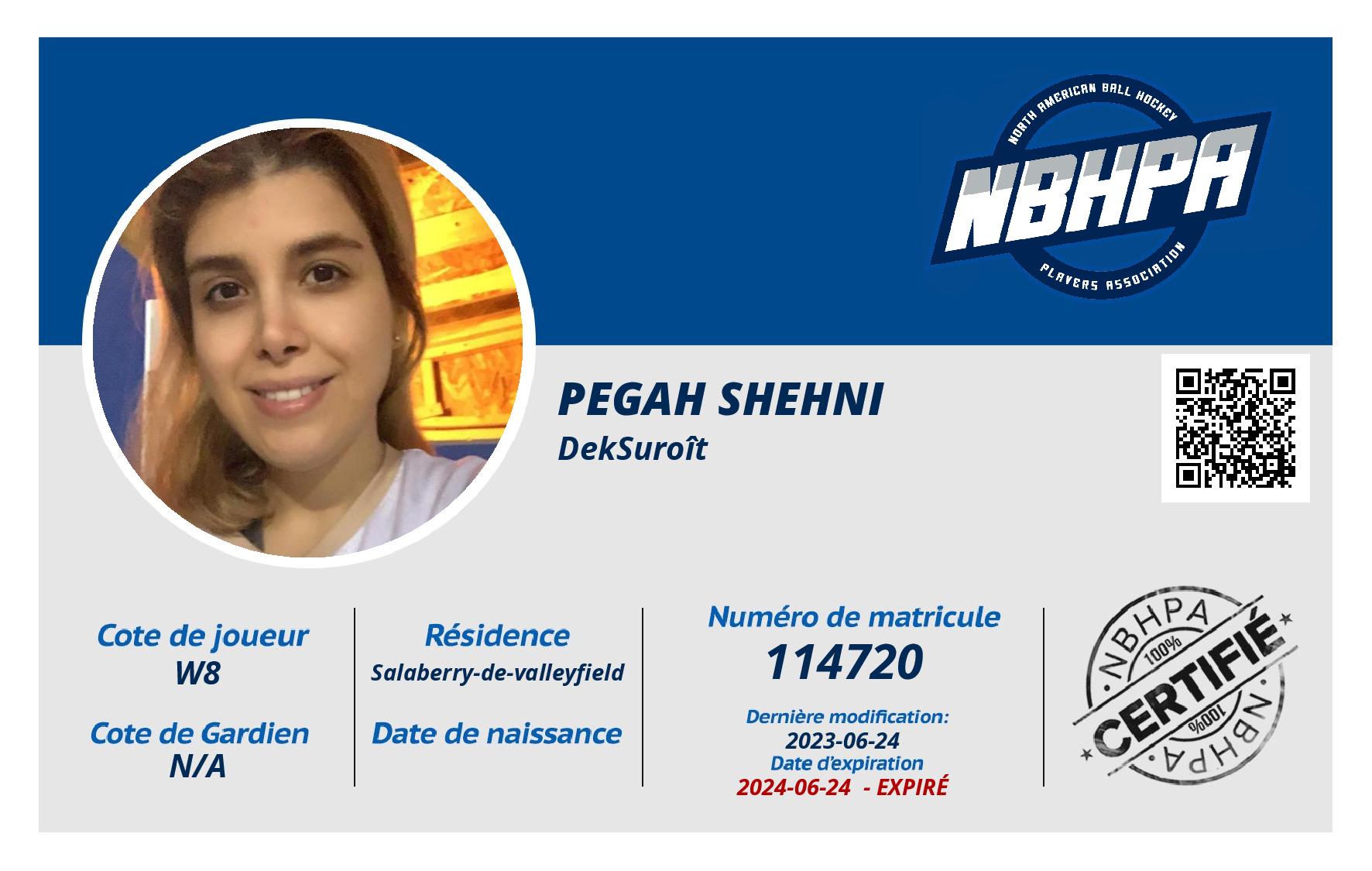 Pegah Shehni
