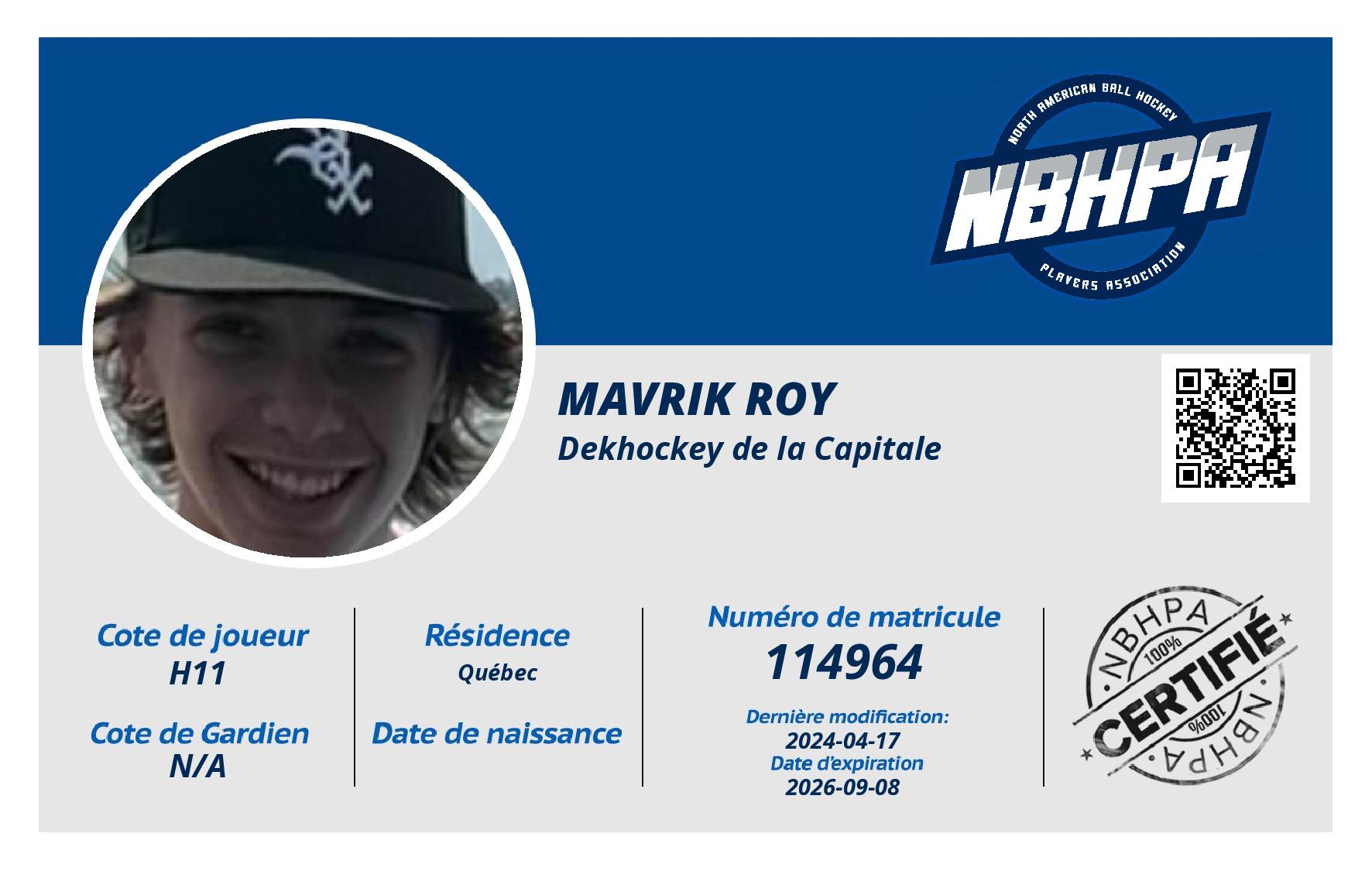 Mavrik Roy