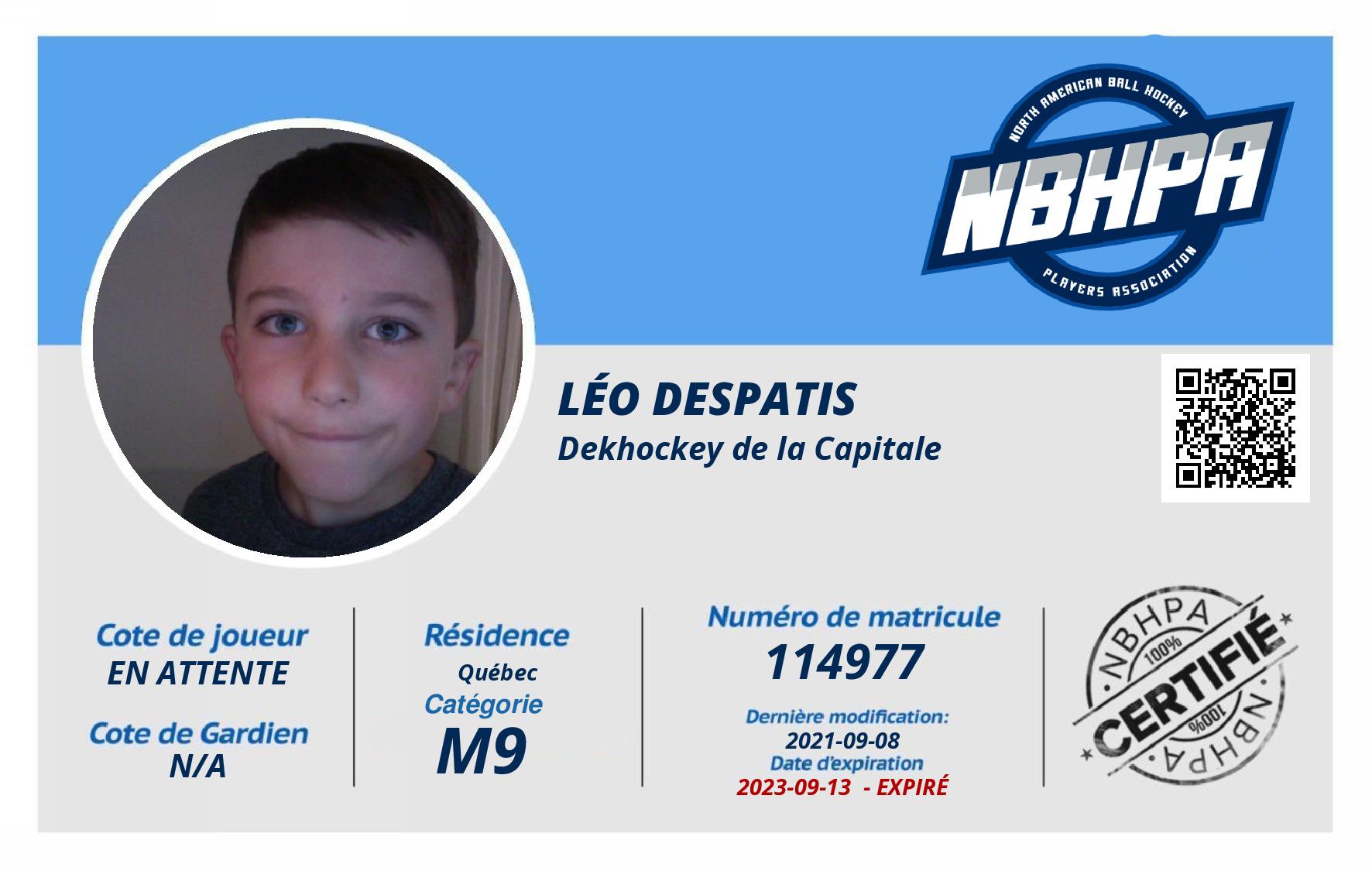Léo Despatis