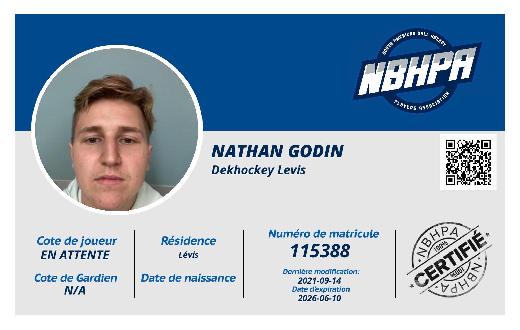 Nathan Godin