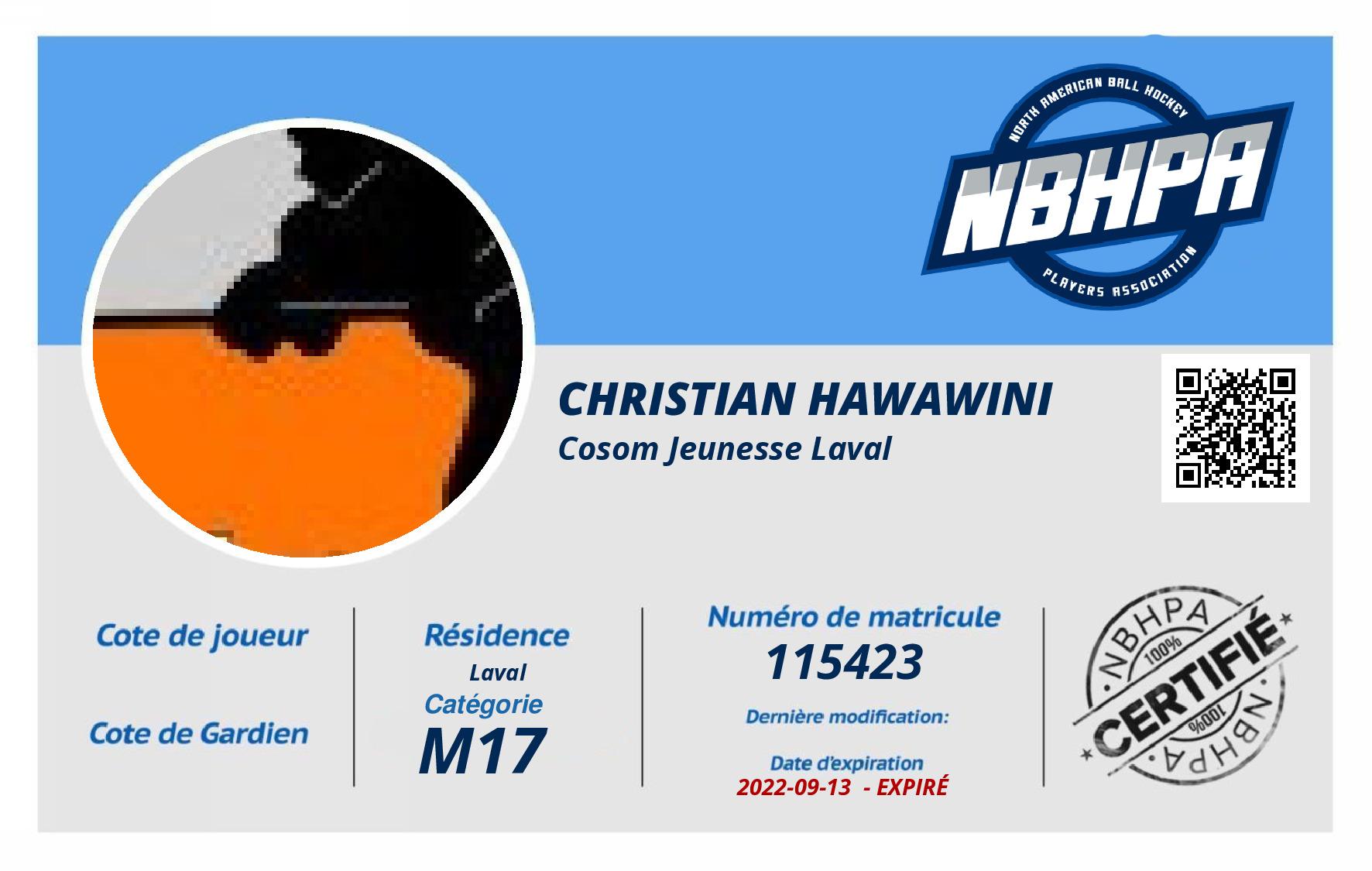Christian Hawawini