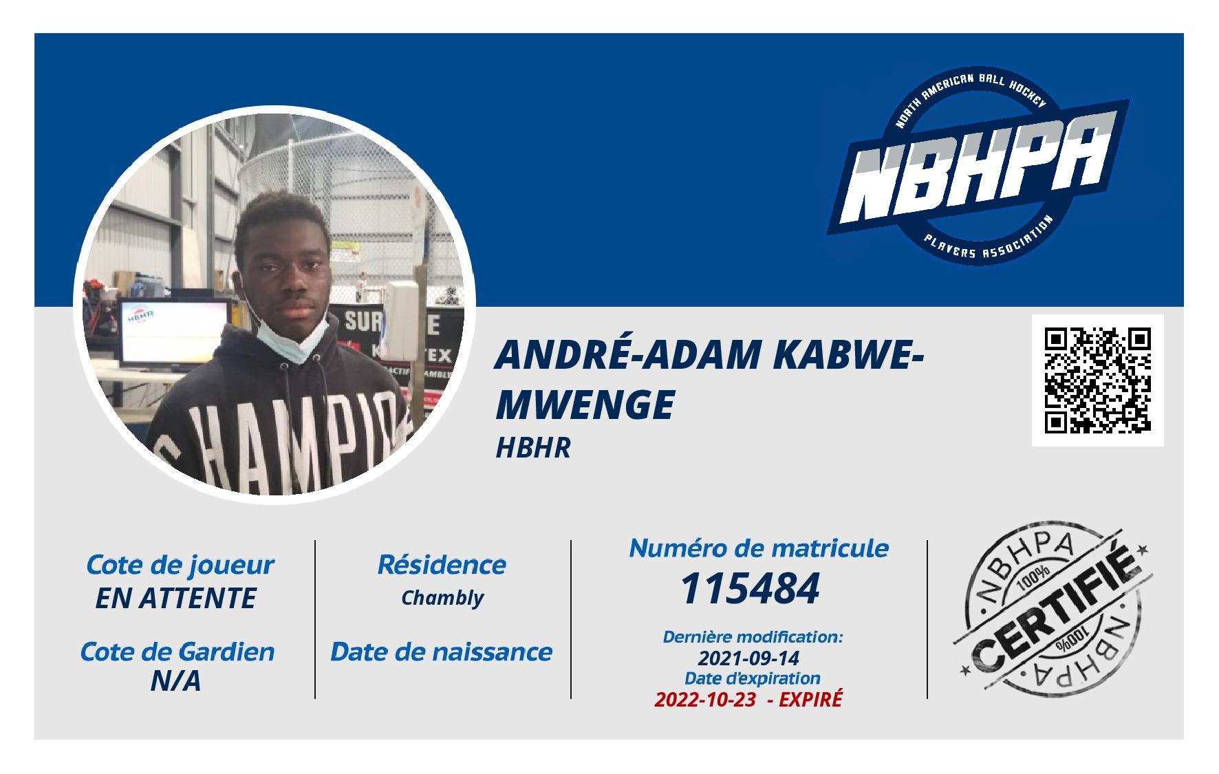 André-Adam Kabwe-Mwenge