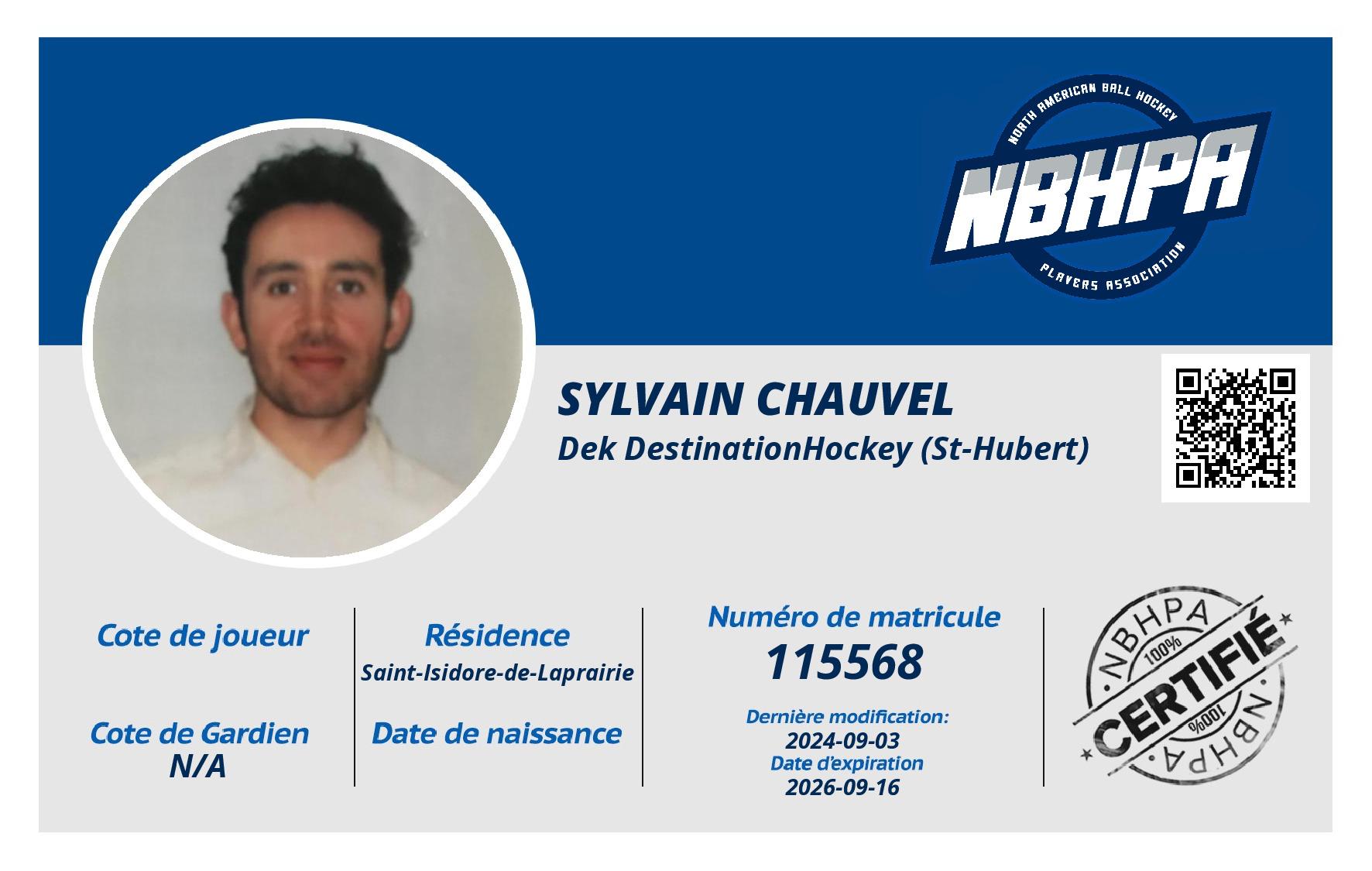 Sylvain Chauvel