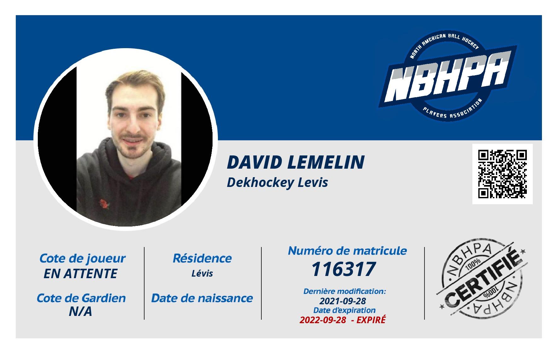 David Lemelin