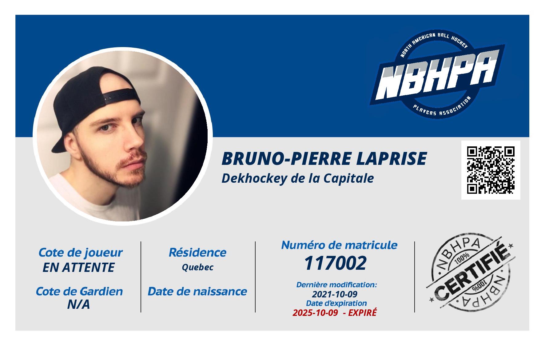 Bruno-Pierre Laprise
