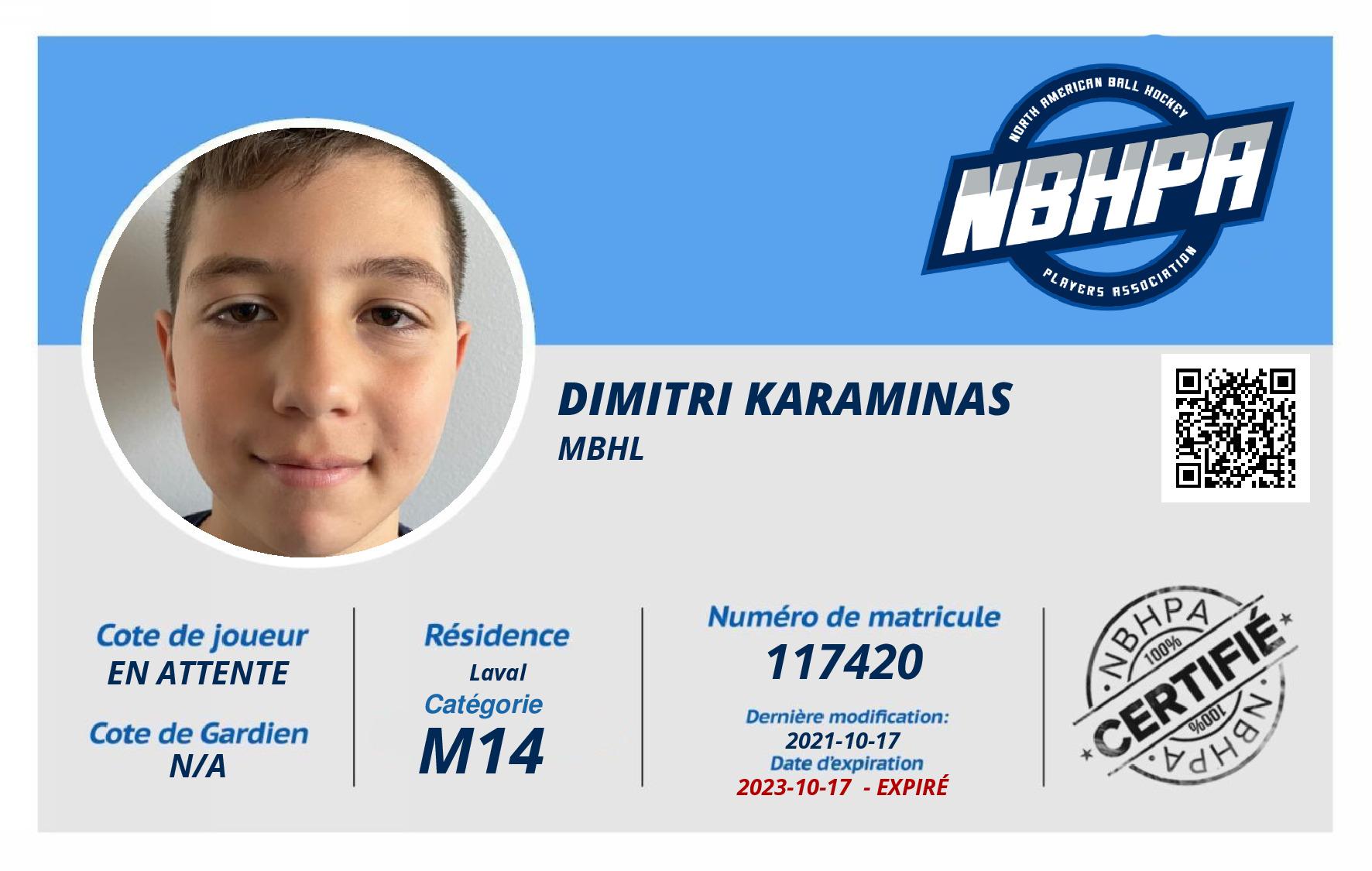 Dimitri Karaminas