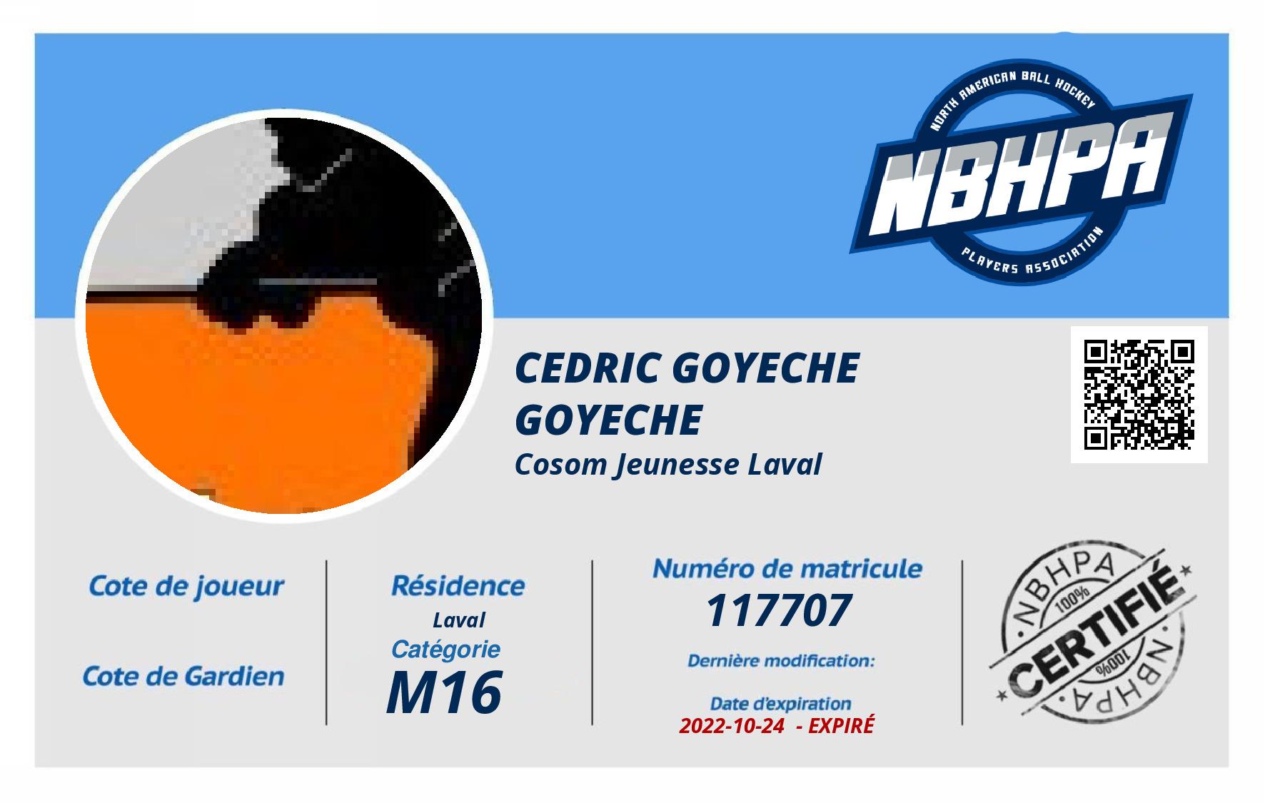 Cedric Goyeche Goyeche