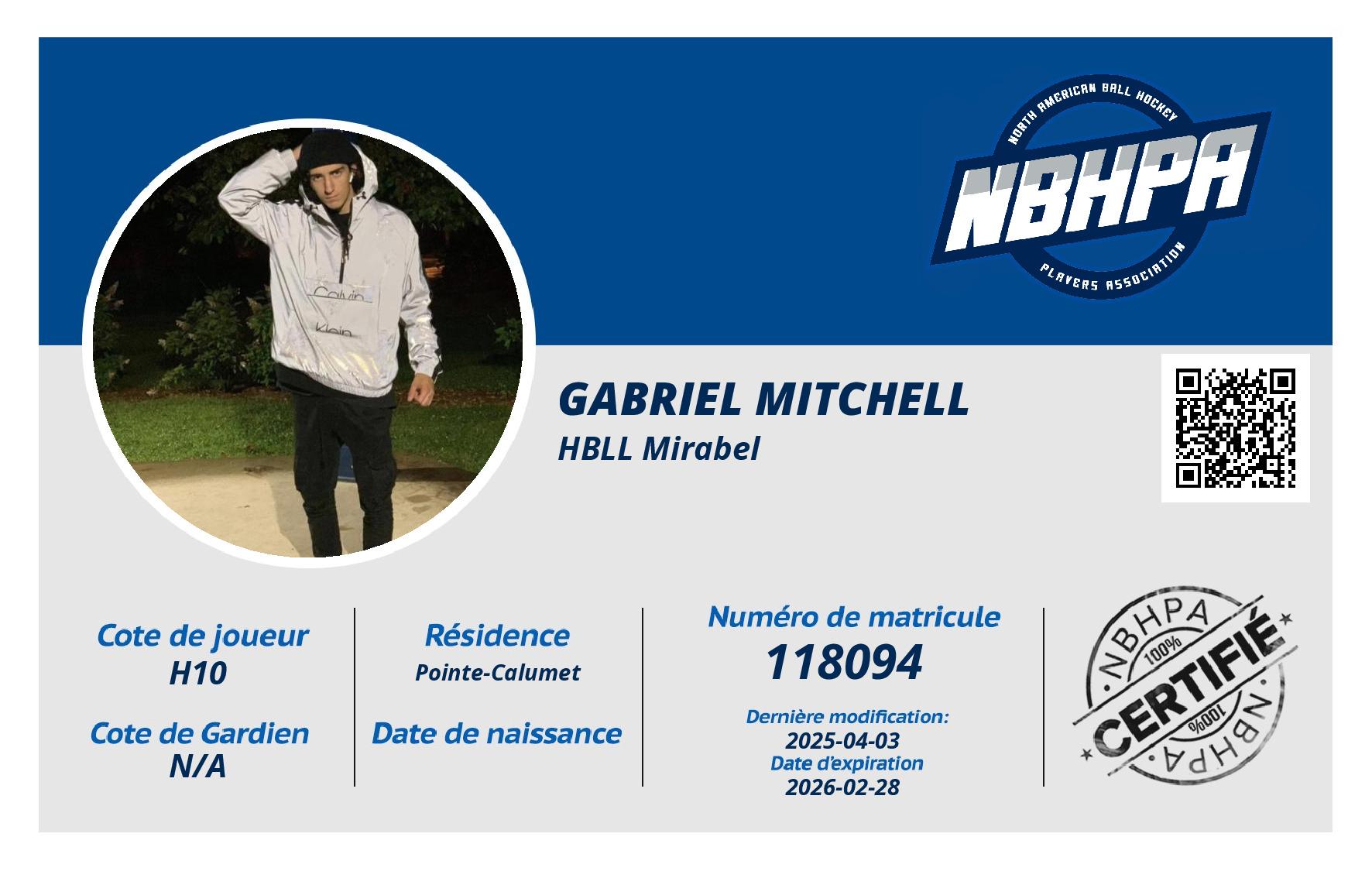 Gabriel Mitchell