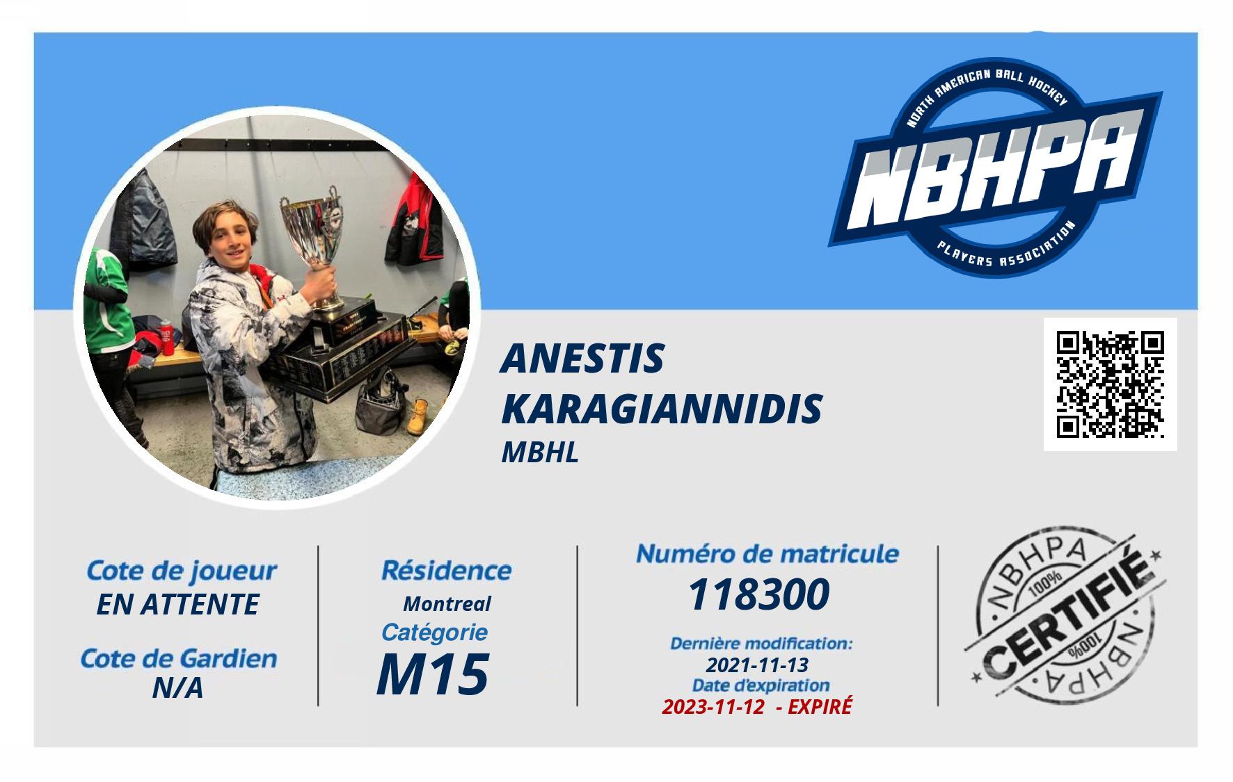 Anestis  Karagiannidis