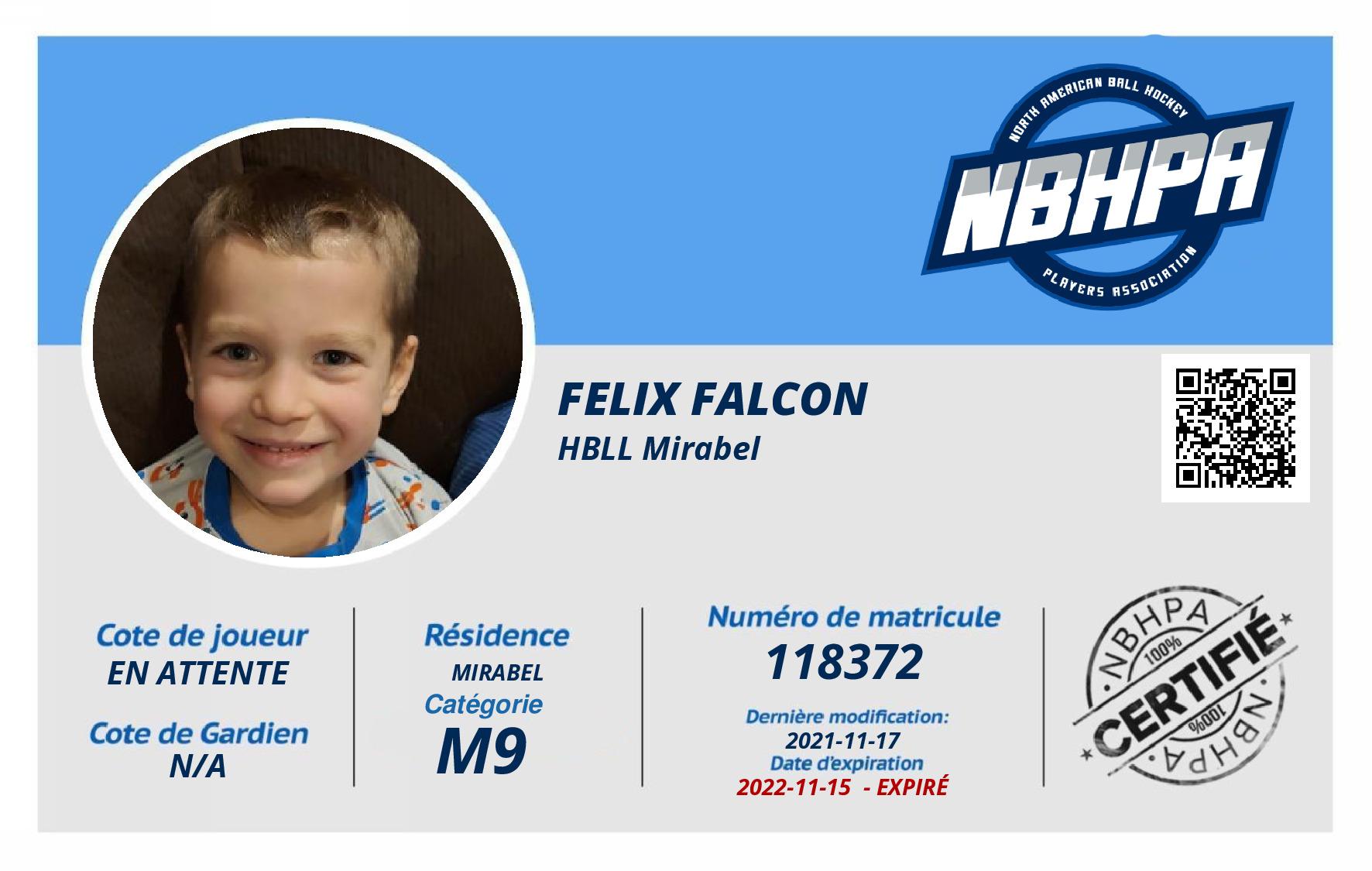 Felix Falcon
