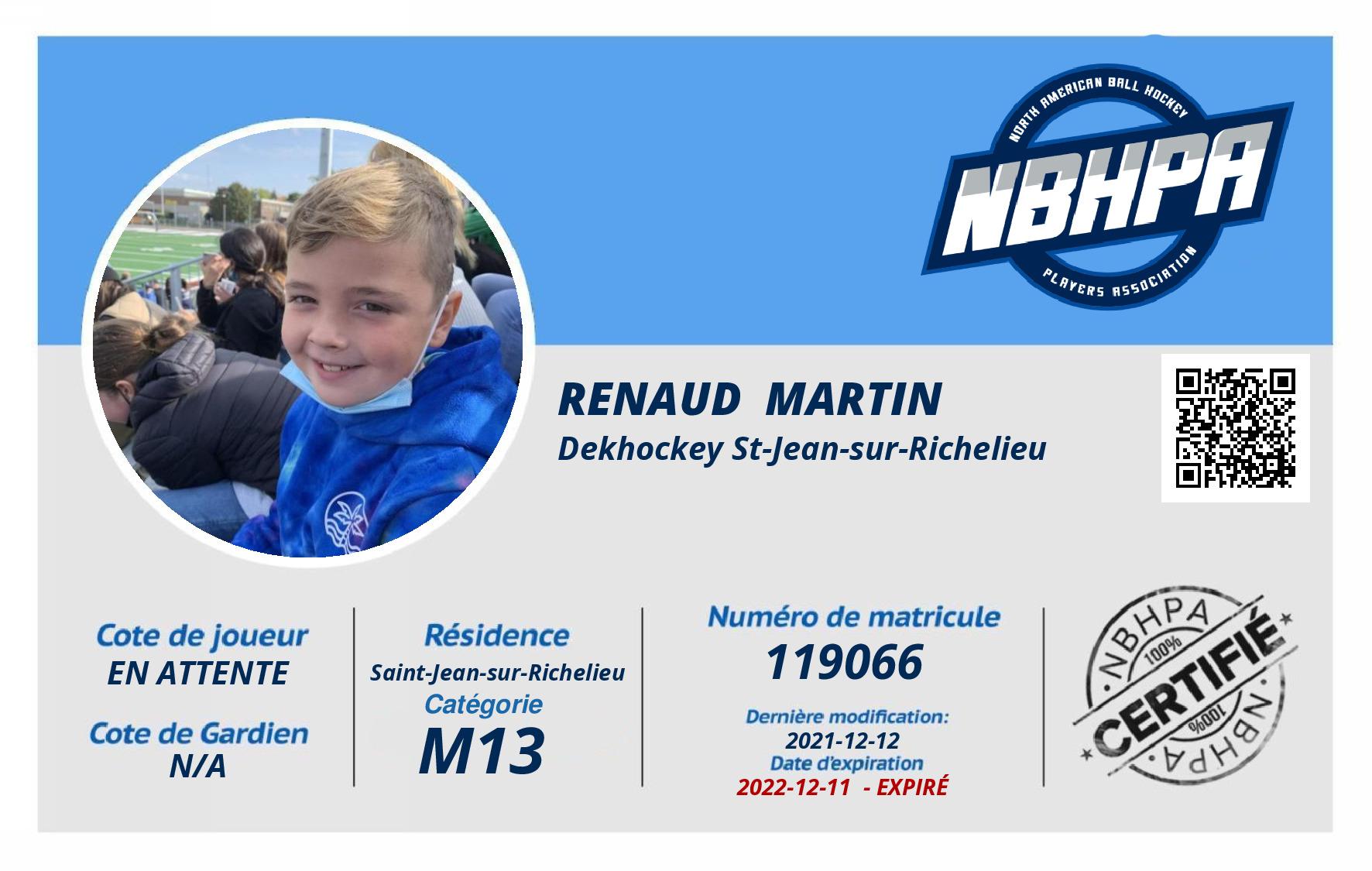 Renaud  Martin