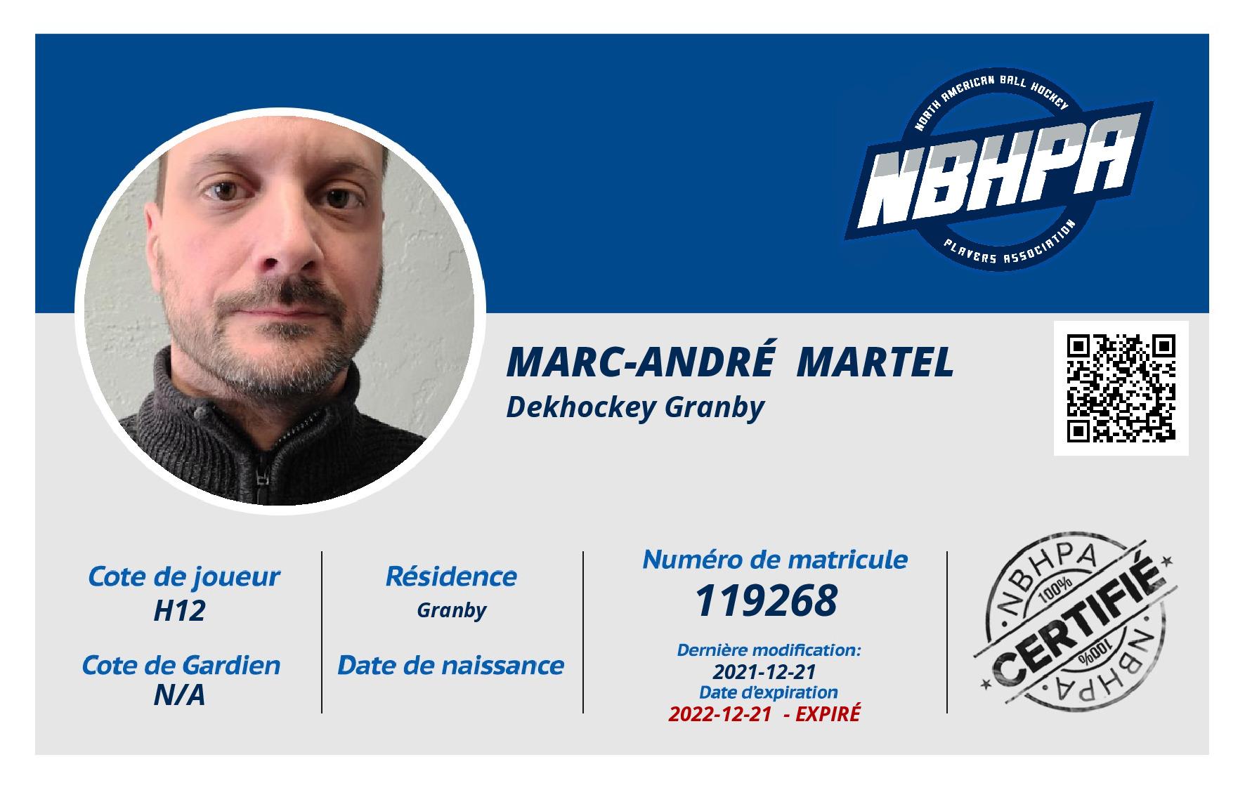 Marc-André  Martel