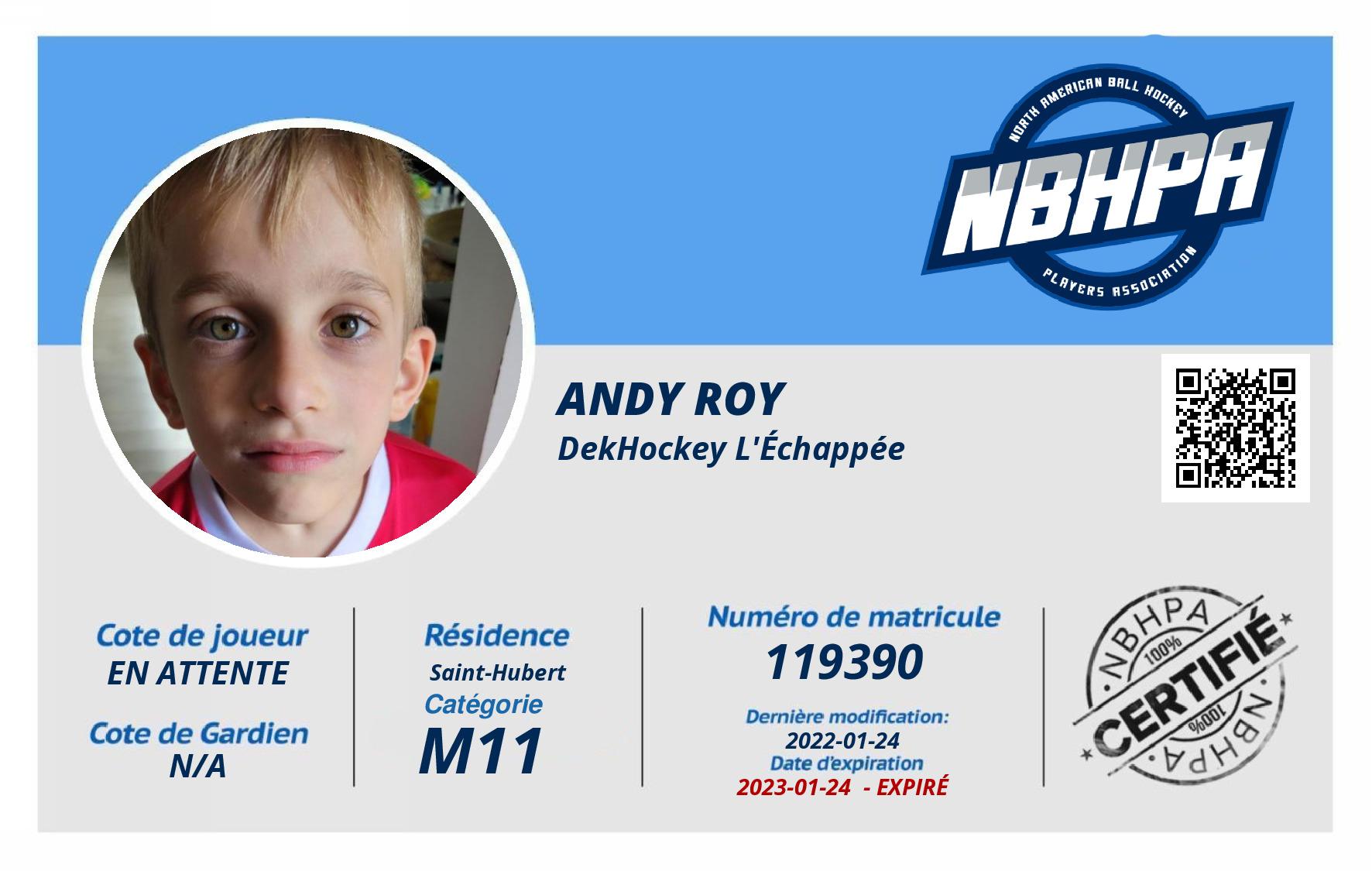 Andy Roy
