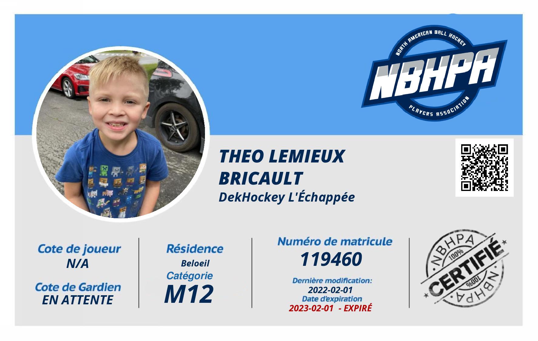 Theo Lemieux Bricault