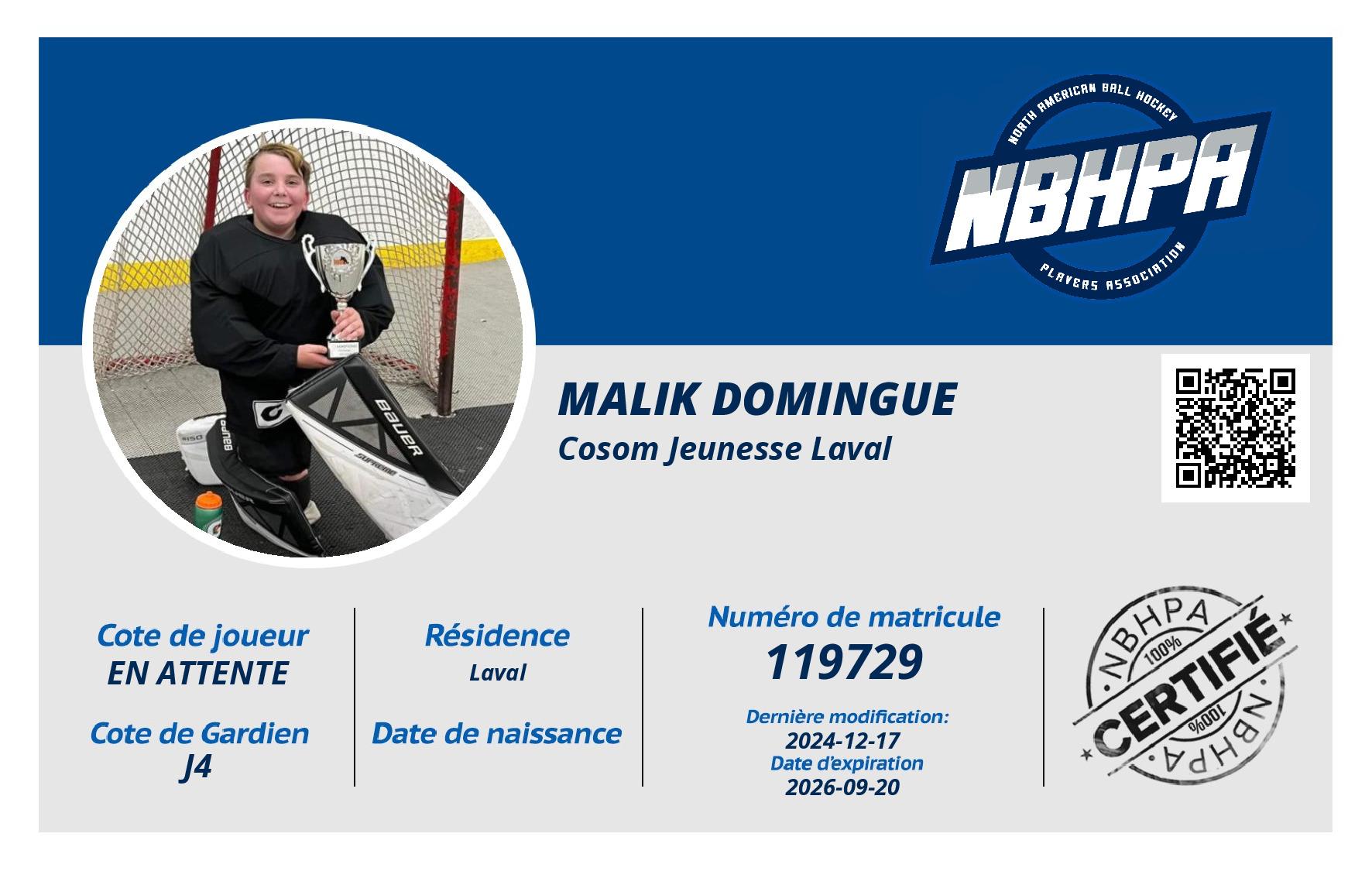 Malik Domingue