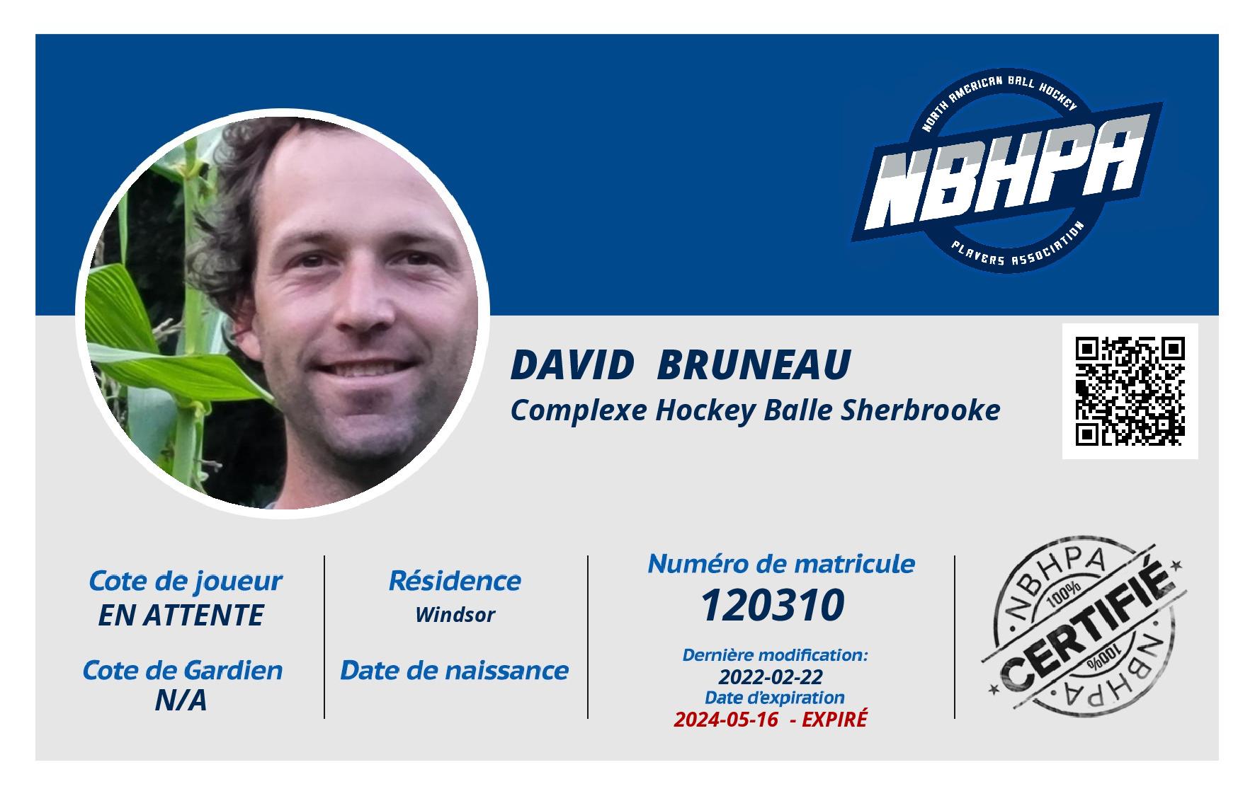 David  Bruneau 