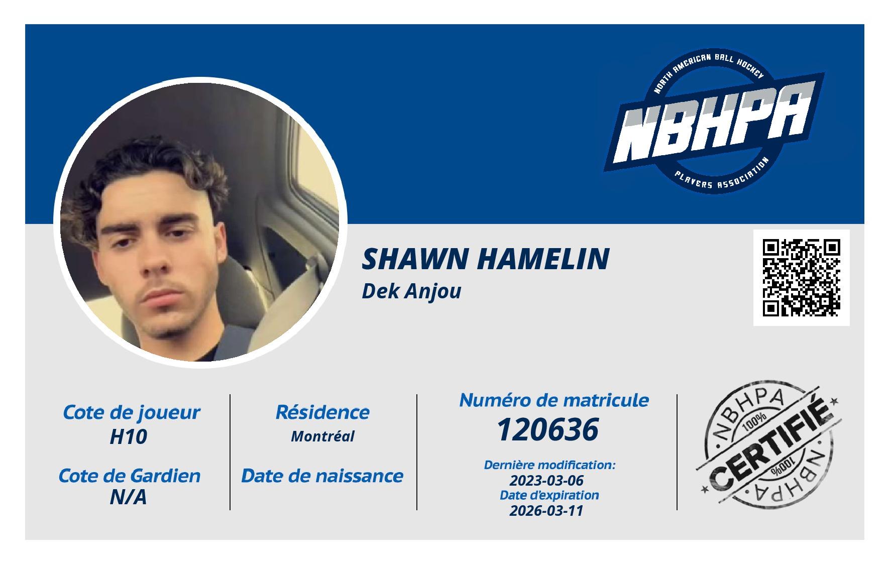 Shawn Hamelin