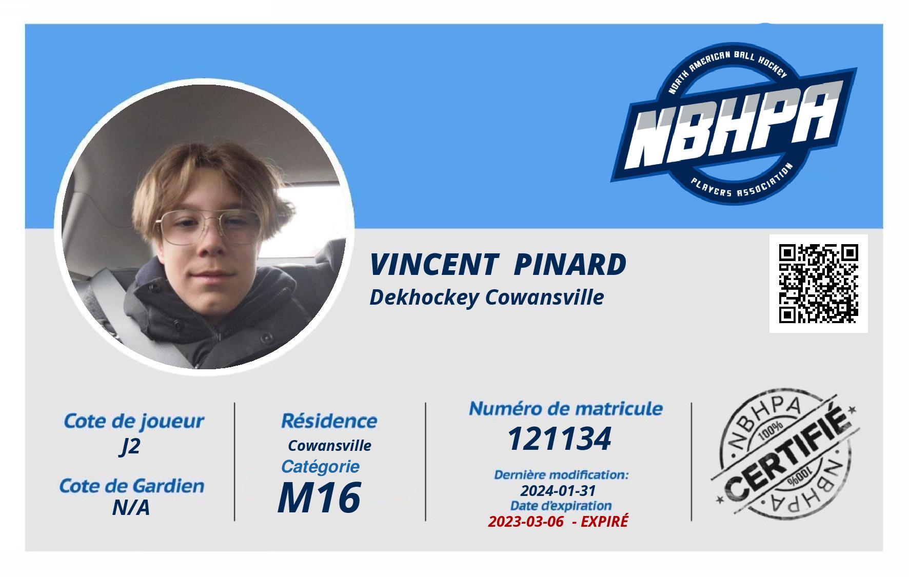 Vincent  Pinard 