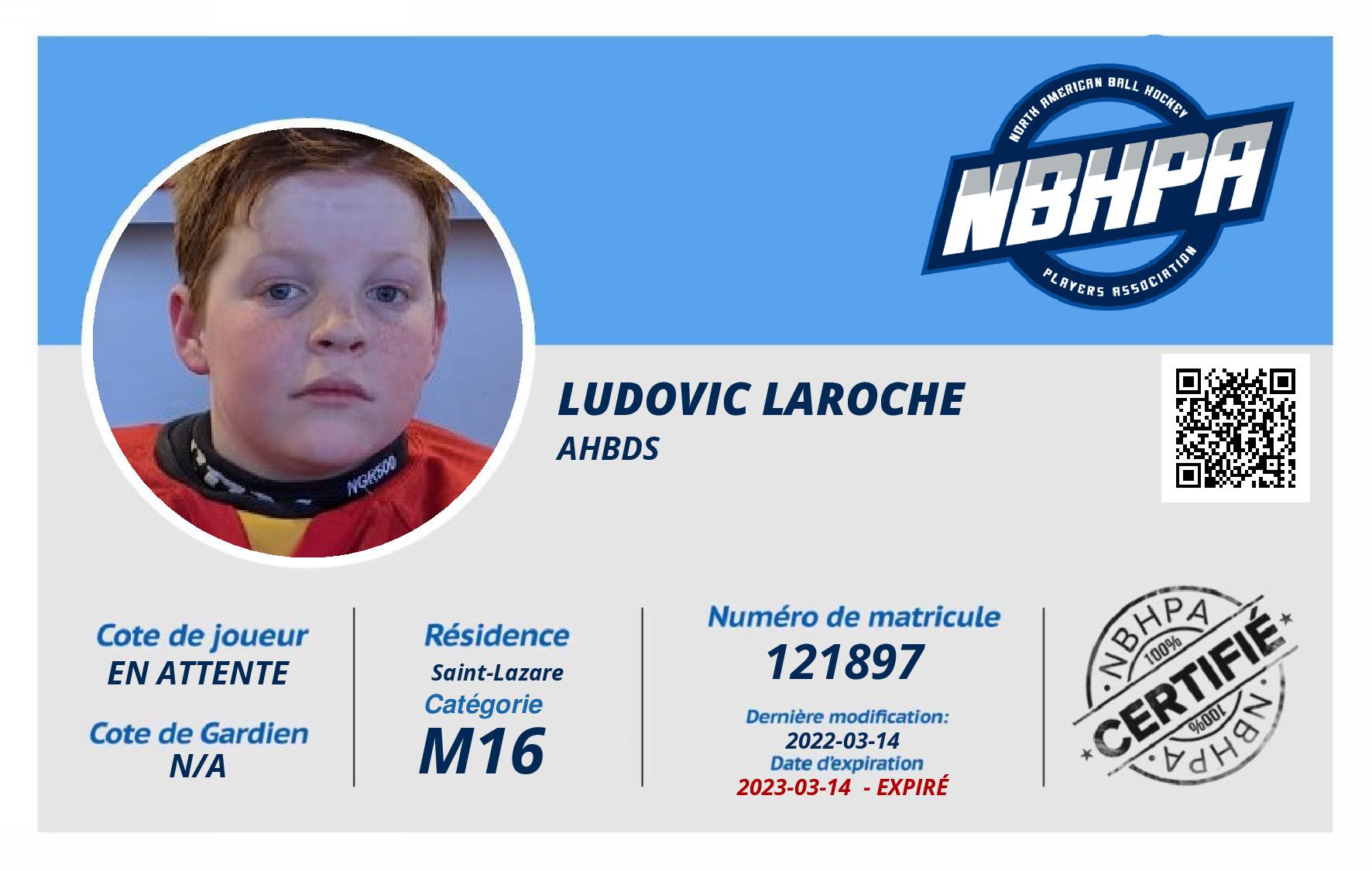 Ludovic Laroche
