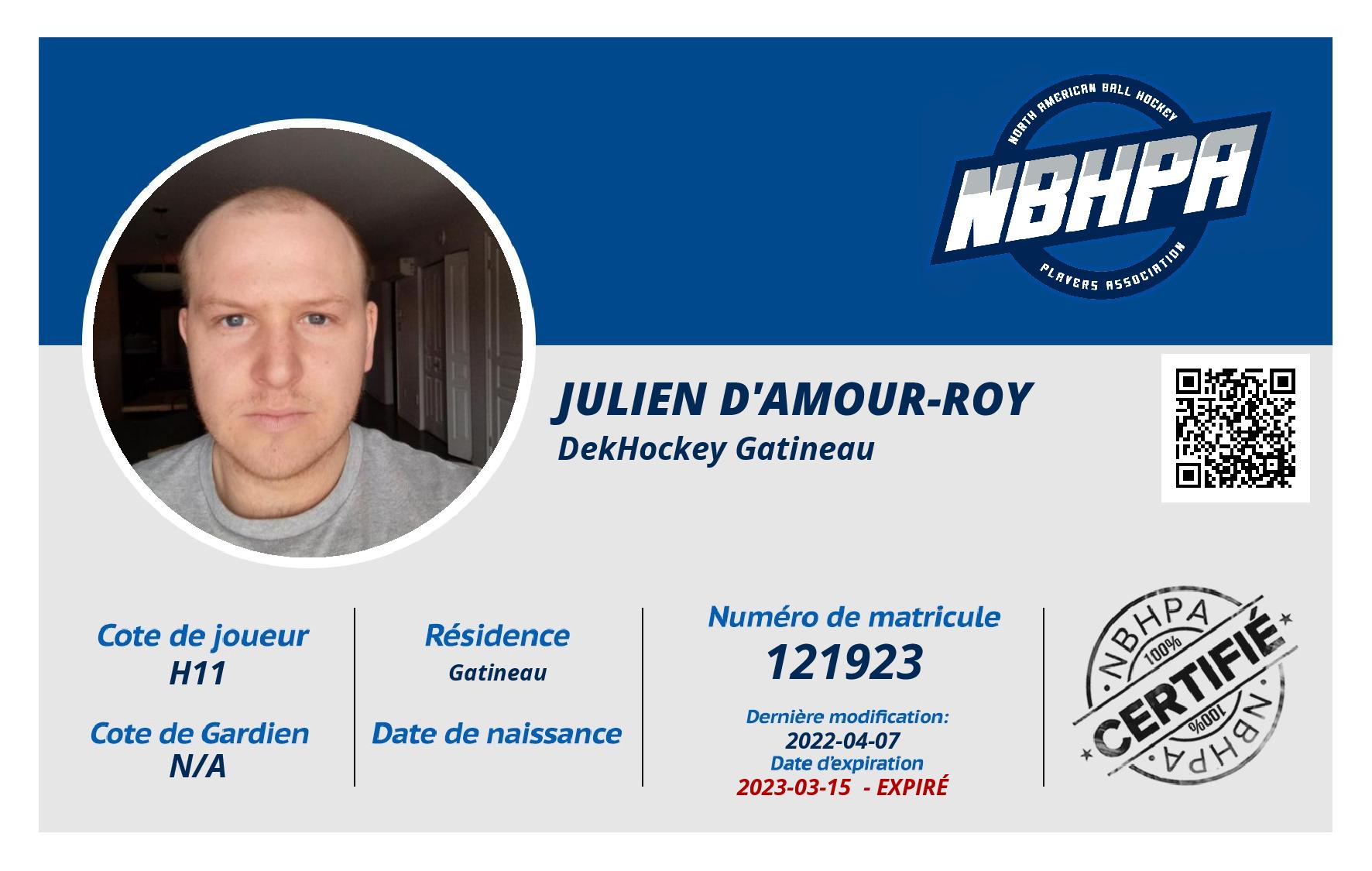 Julien D'Amour-Roy