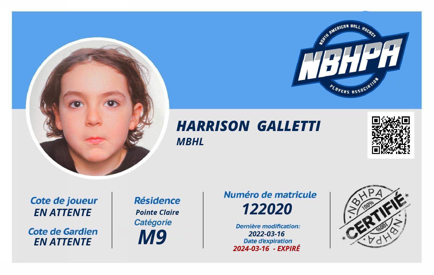 Harrison  Galletti