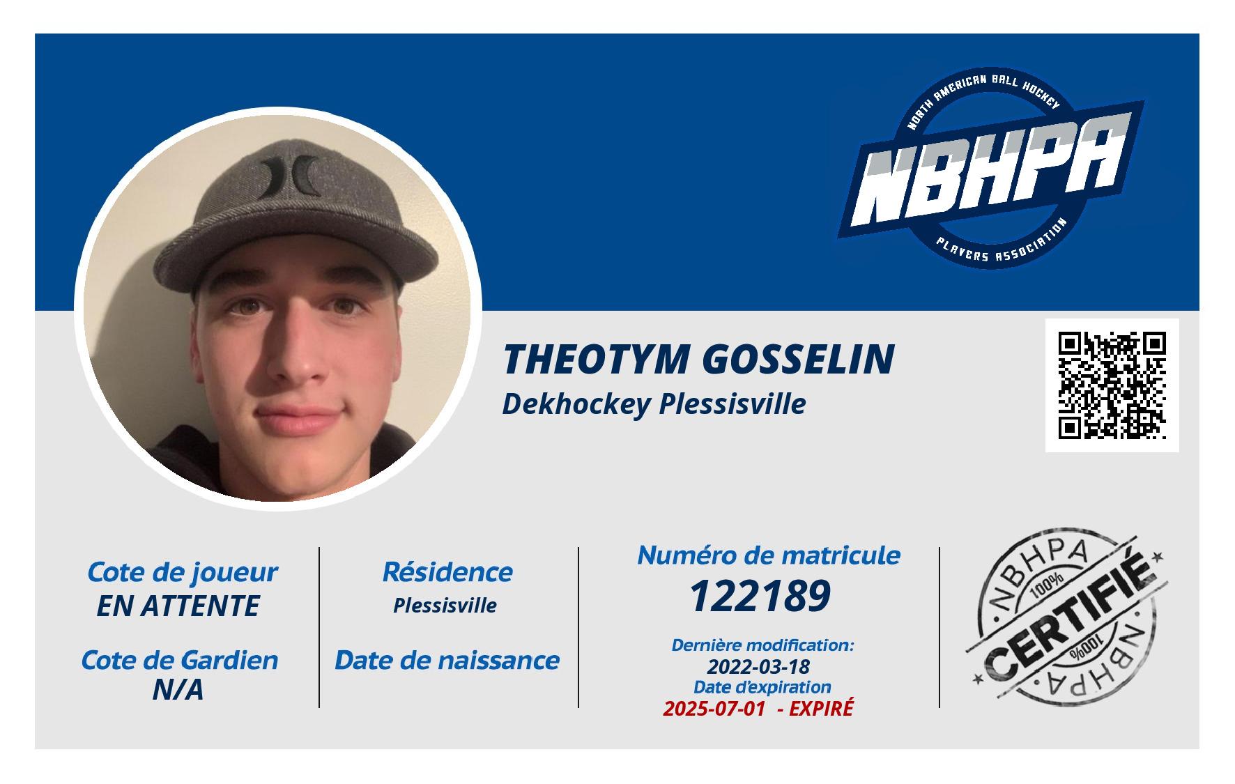Theotym Gosselin
