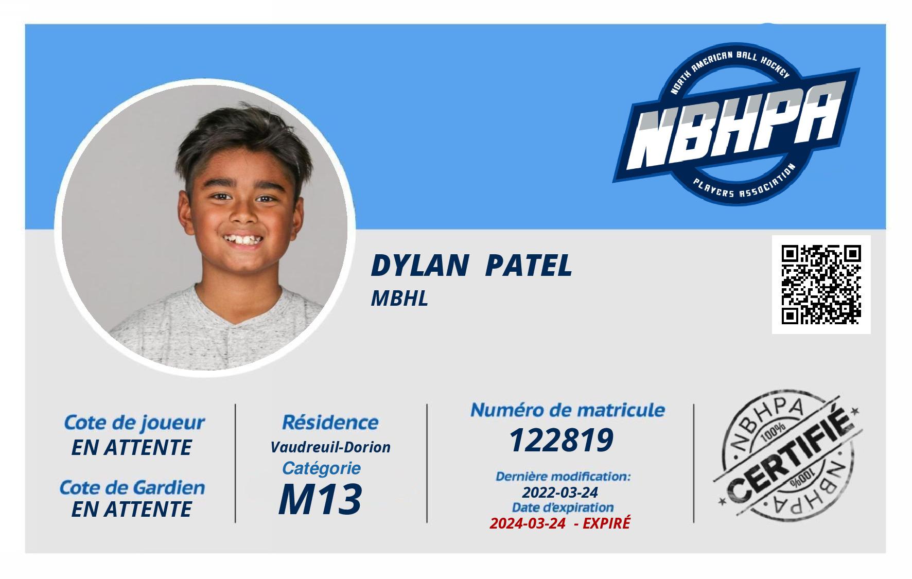 Dylan  Patel 